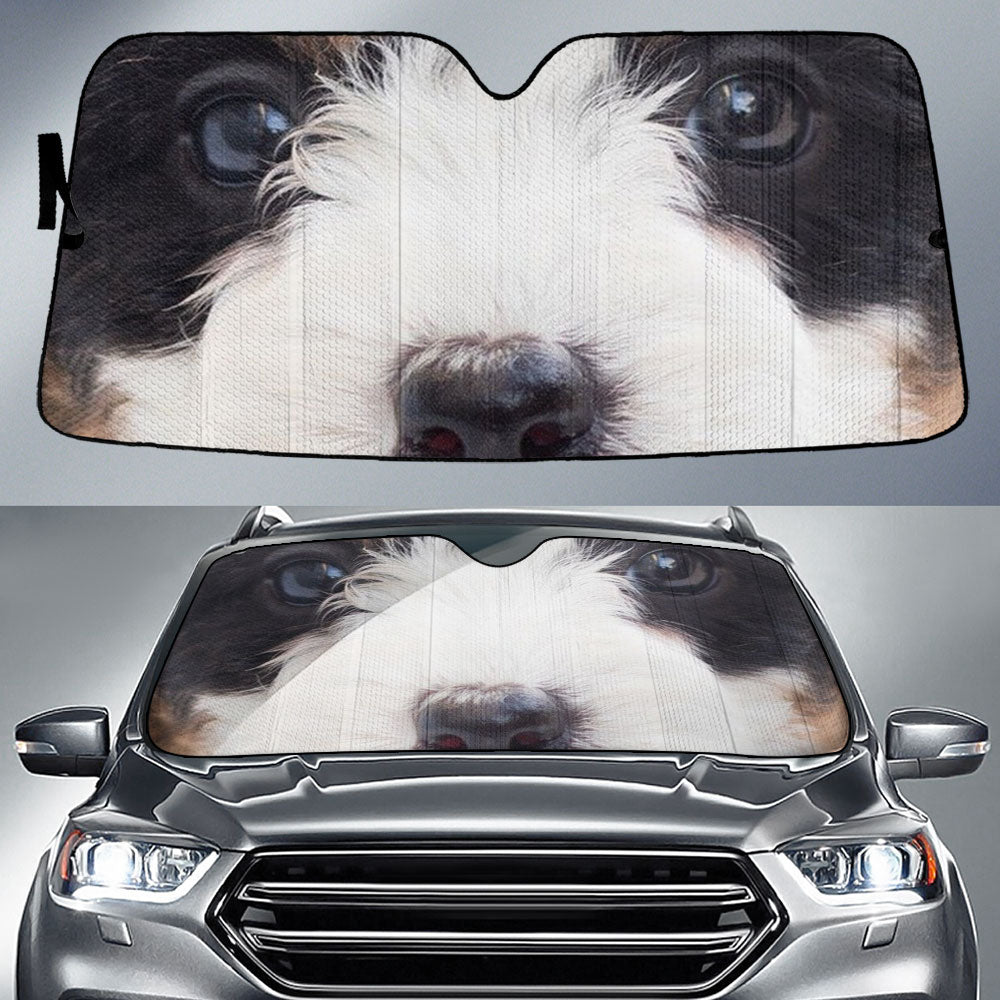 Bernedoodle Eyes Car Sun Shade 94