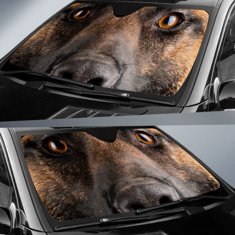 Belgian Malinois Eyes Car Sun Shade 94