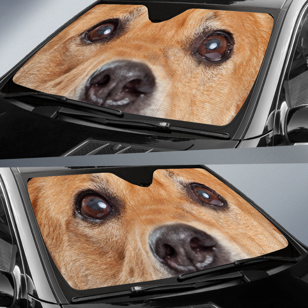 Carolina Dog Eyes Car Sun Shade 94