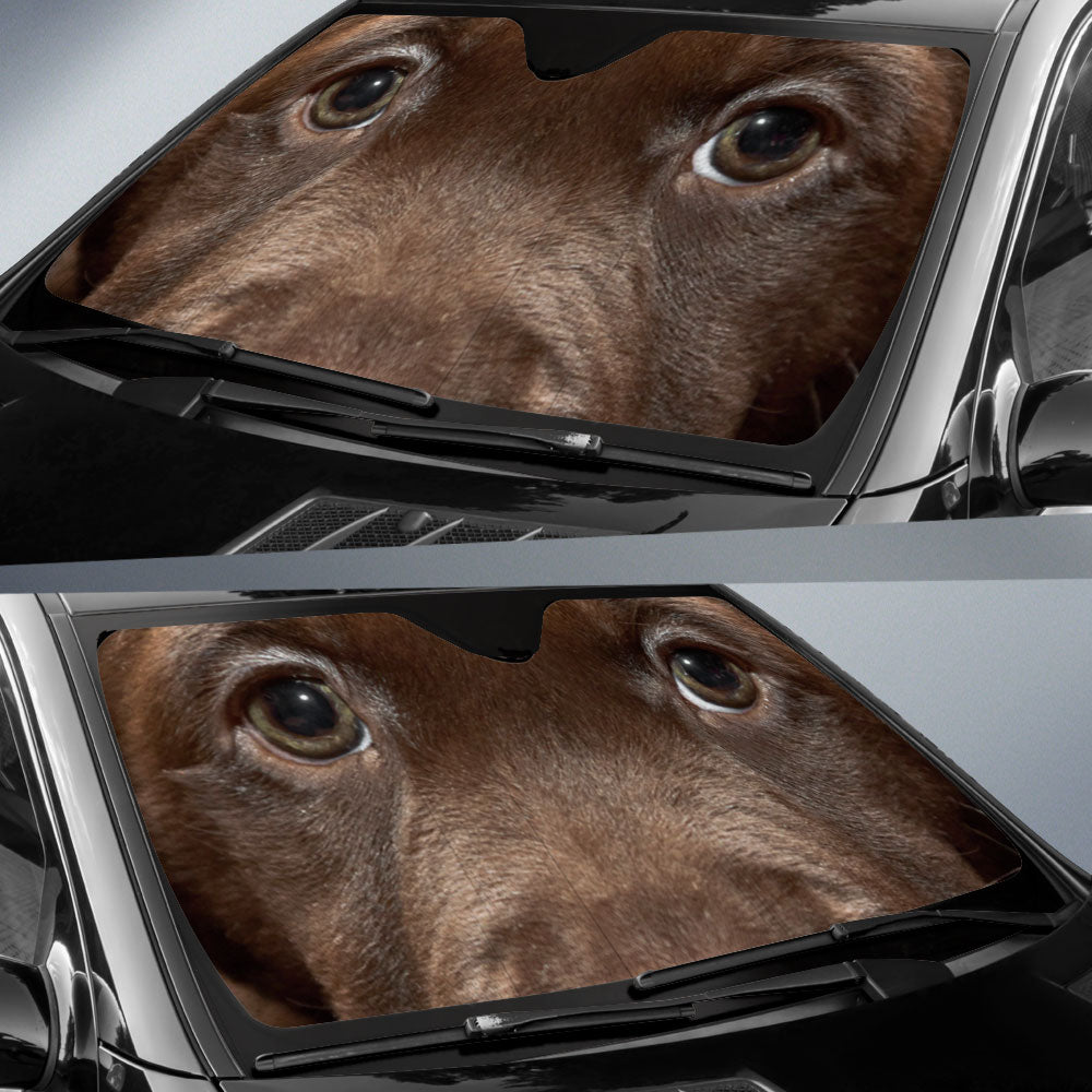 Chesapeake Bay Eyes Car Sun Shade 94