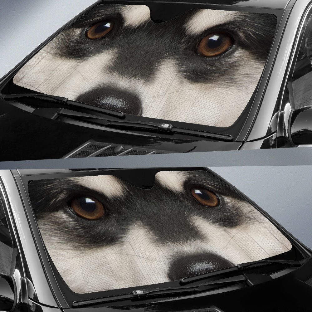 Finnish Lapphund Eyes Car Sun Shade 94