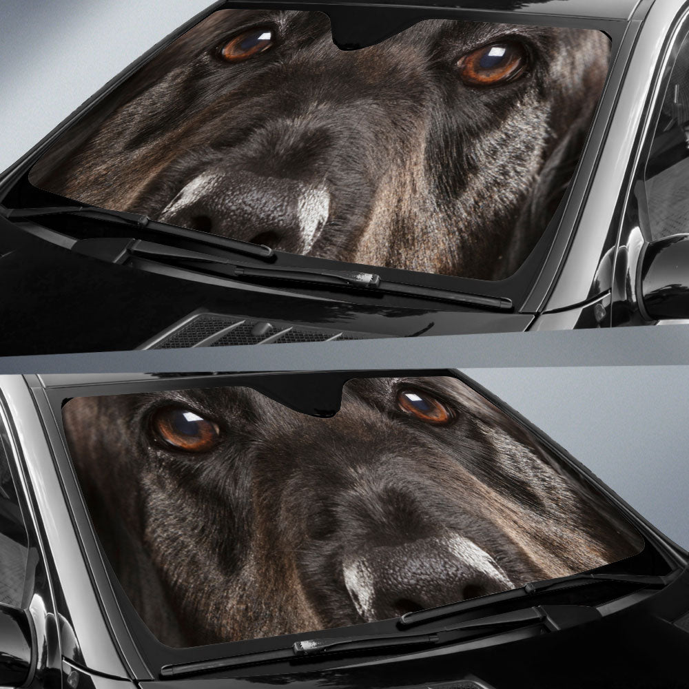 Flat Coated Retriever Eyes Car Sun Shade 94