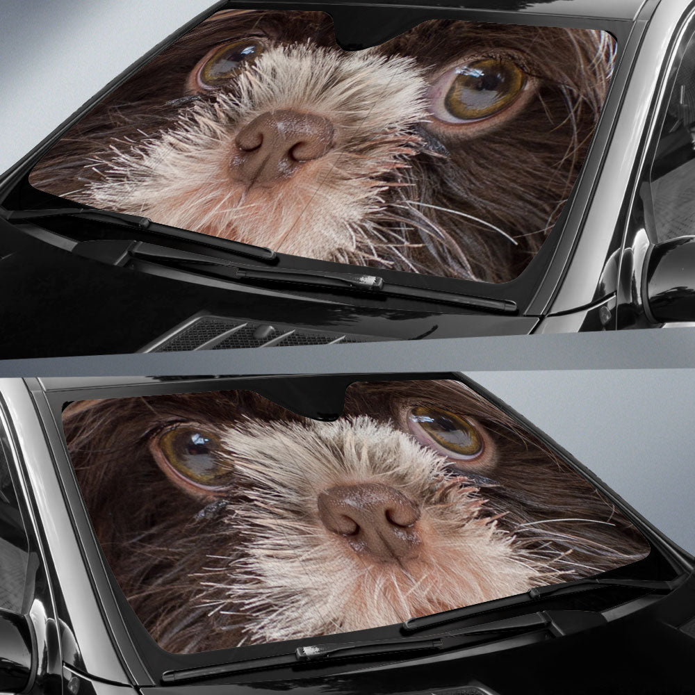 Little lion dog Eyes Car Sun Shade 94