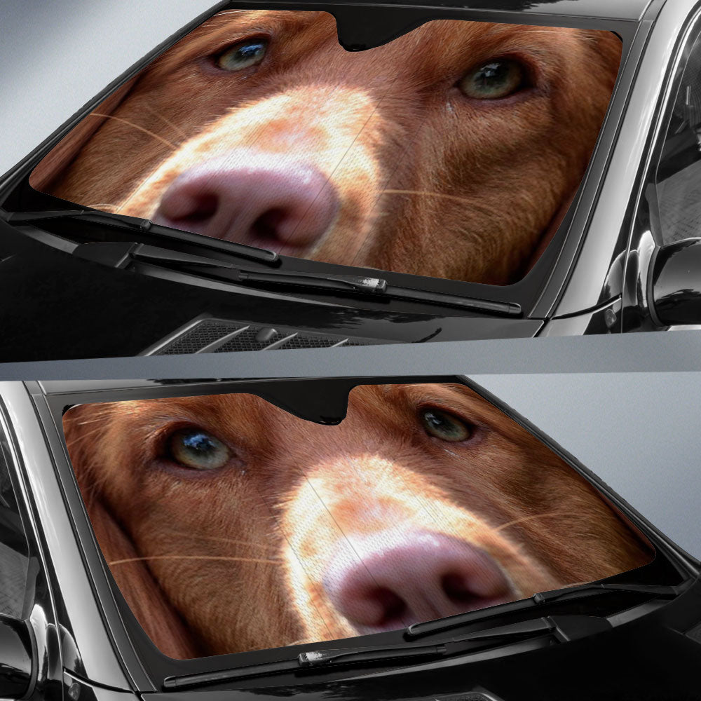 Nova Scotia duck tolling retriever Eyes Car Sun Shade 94