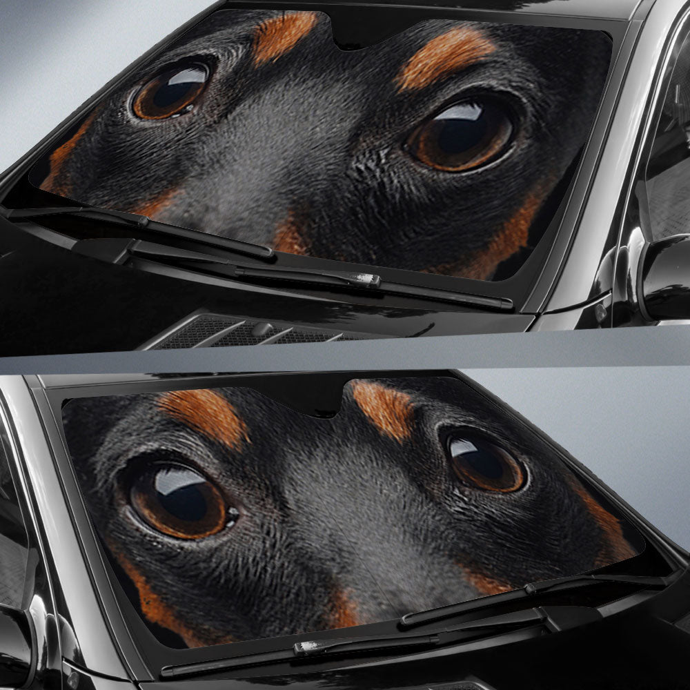 Pinscher Miniature Eyes Car Sun Shade 94