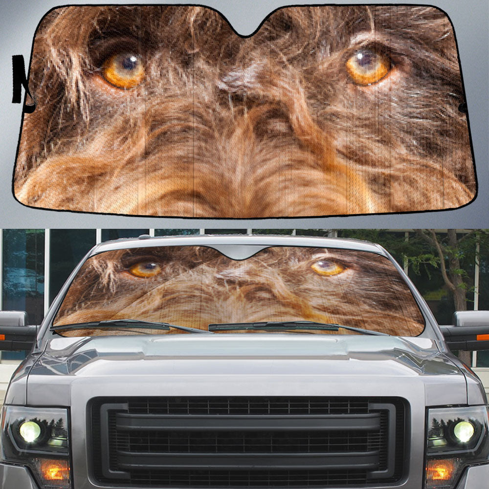 Barbet Eyes Car Sun Shade 94