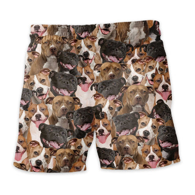 American Staffordshire Terrier Full Face Hawaiian Shirt & Short