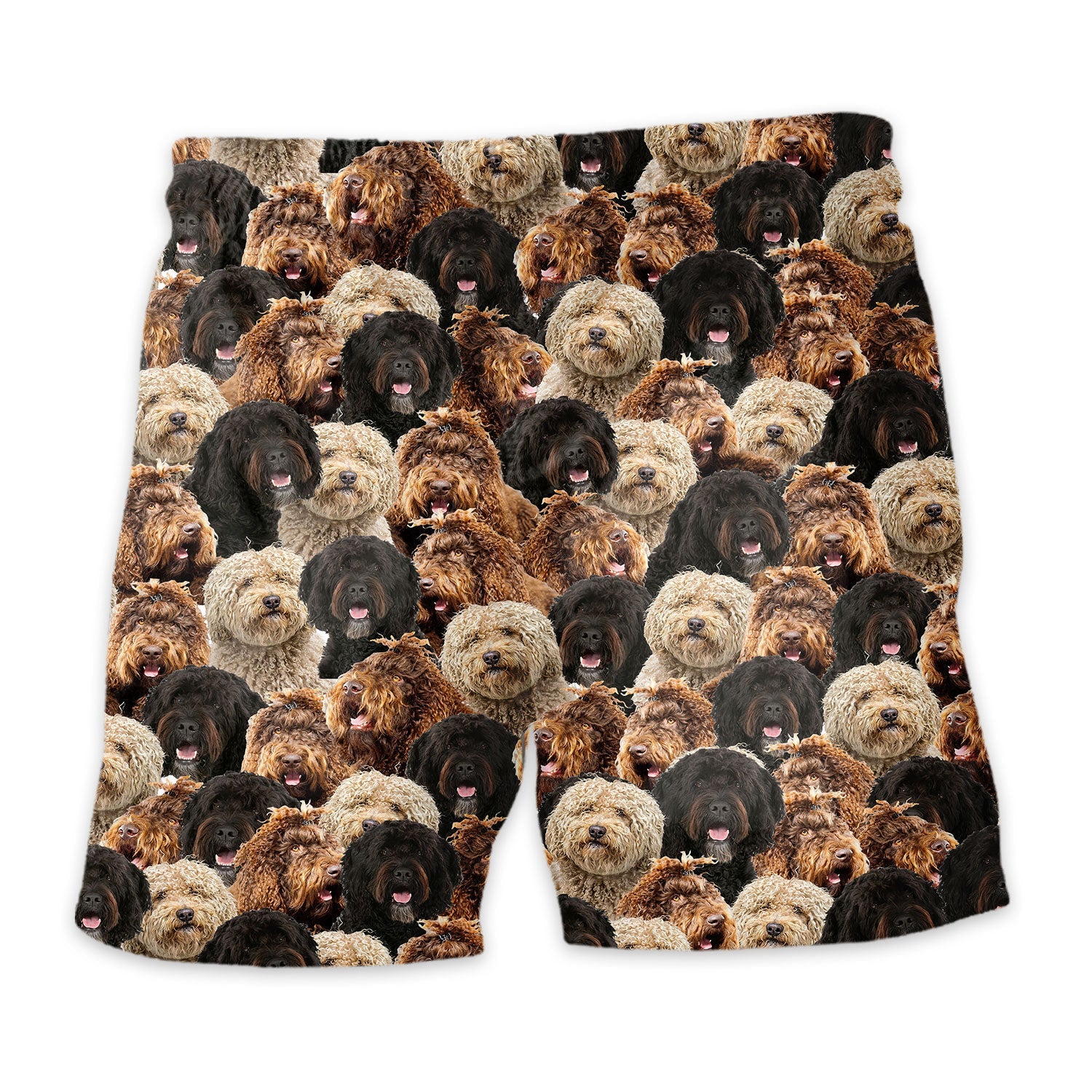 Barbet-2 Full Face Hawaiian Shirt & Short