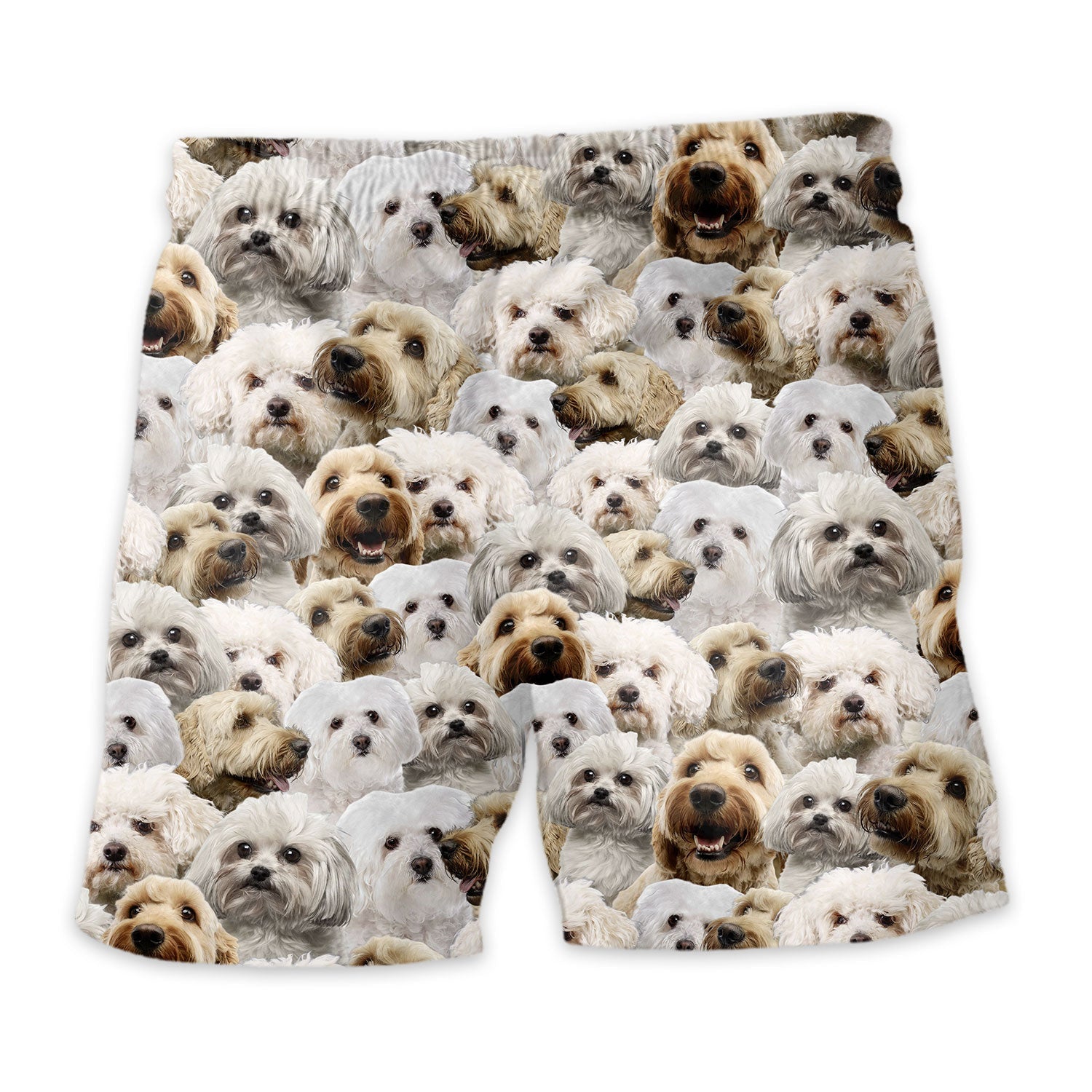 Bolognese Dog Full Face Hawaiian Shirt & Short