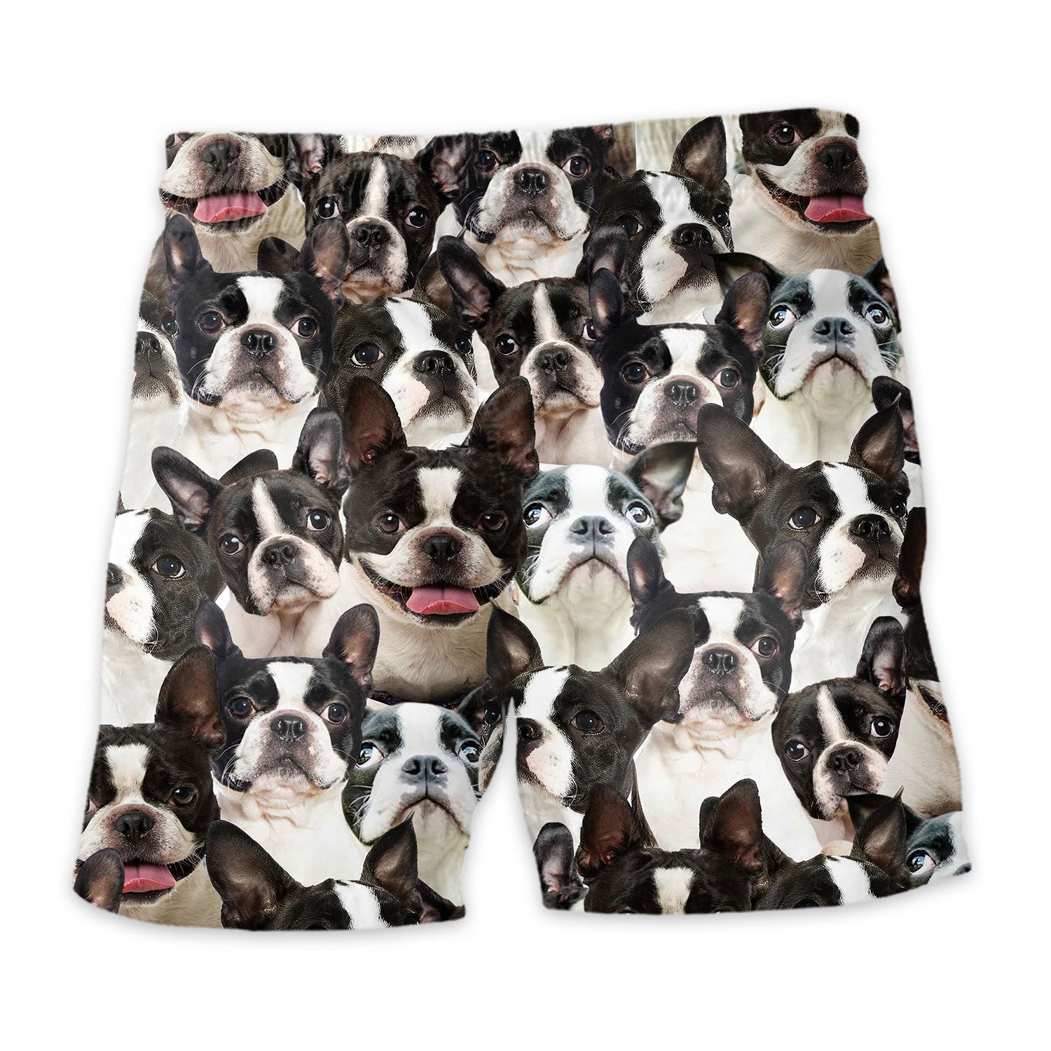 Boston Terrier Full Face Hawaiian Shirt & Short