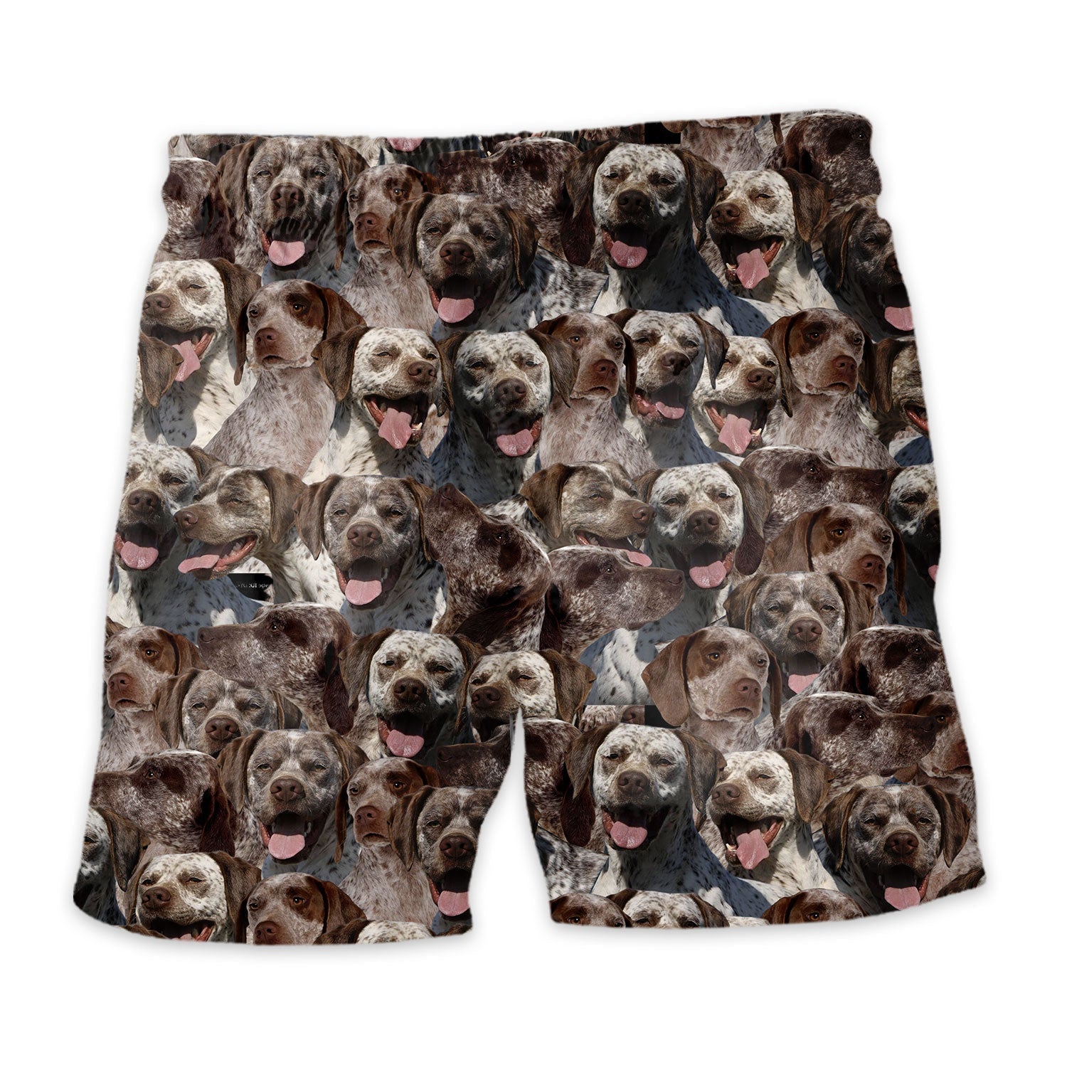 Braque Du Bourbonnais Full Face Hawaiian Shirt & Short