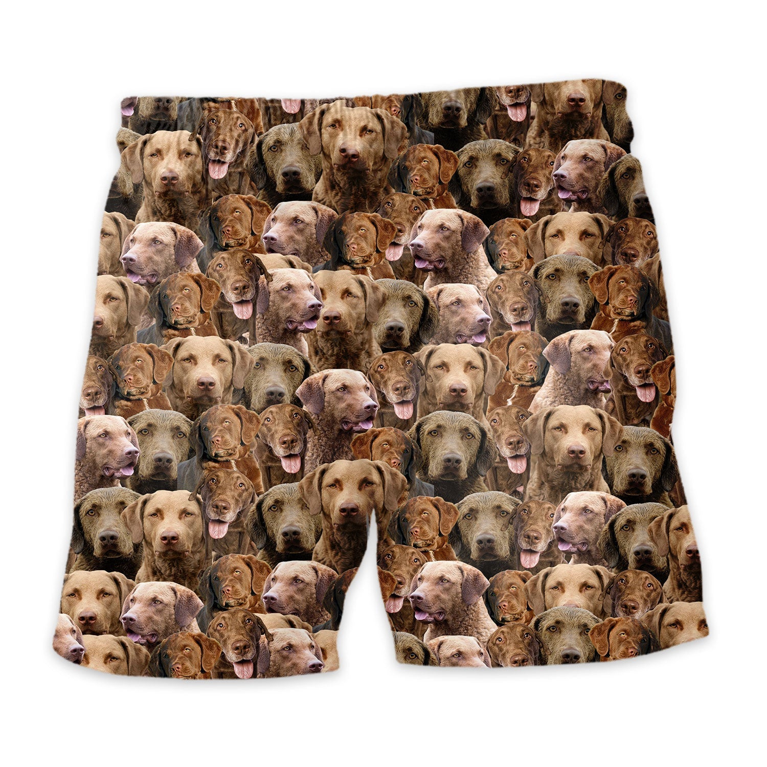 Chesapeake Bay Retriever Dog Full Face Hawaiian Shirt & Short