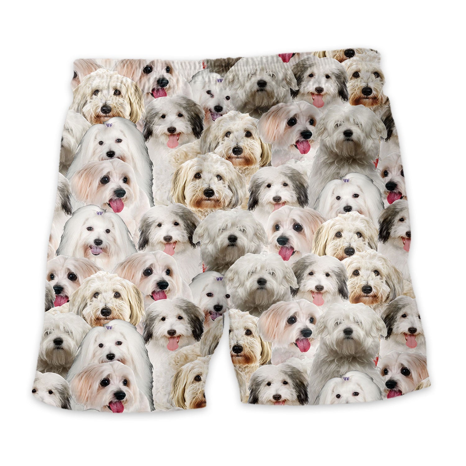 Coton De Tulear Full Face Hawaiian Shirt & Short