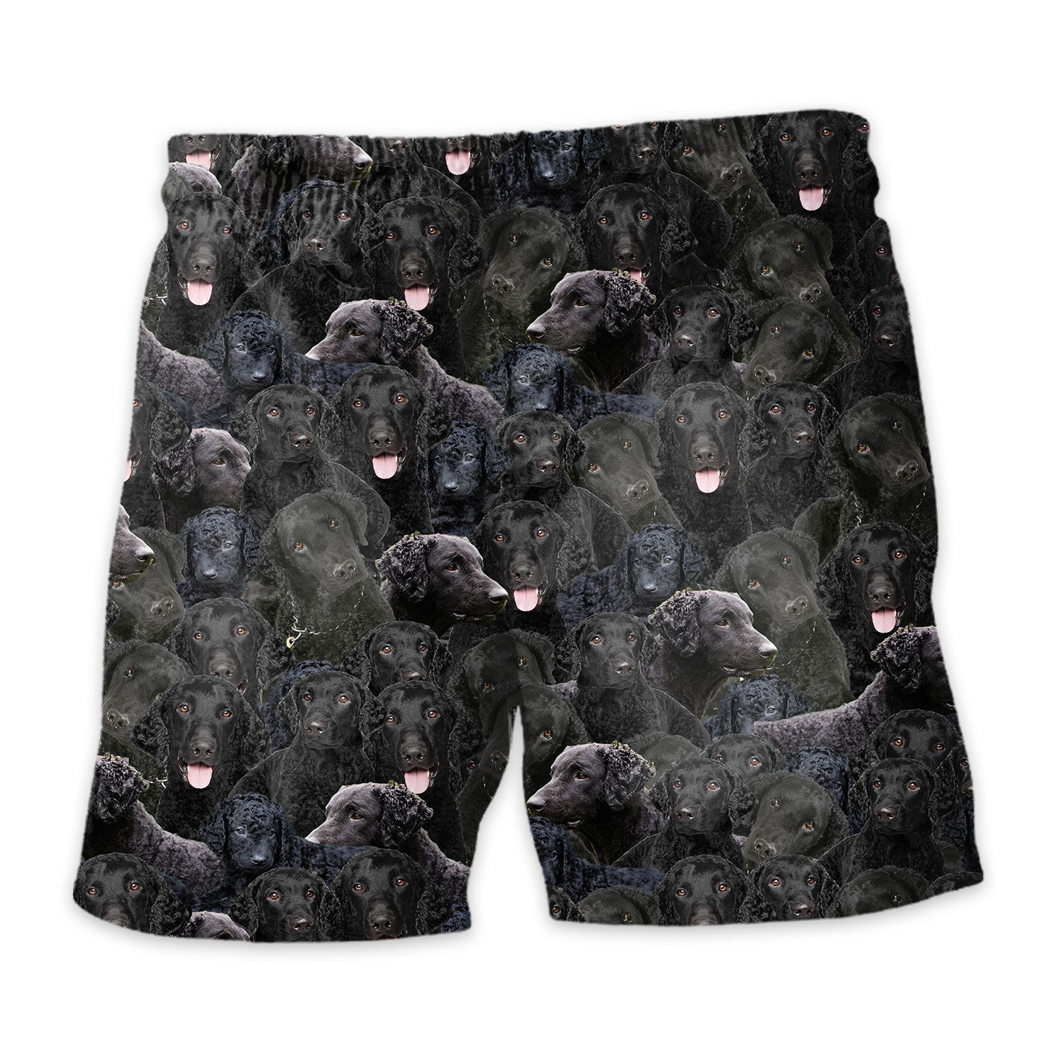 Curly Coated Retriever Full Face Hawaiian Shirt & Short