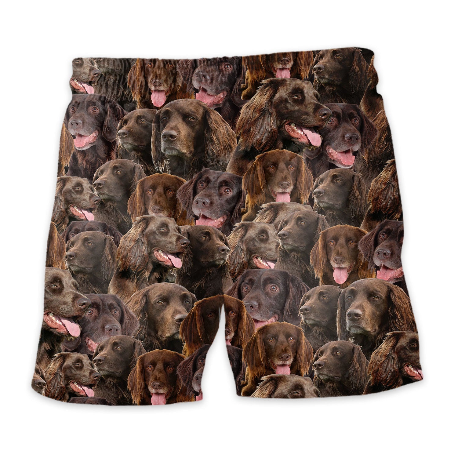 German Longhaired Pointer Full Face Hawaiian Shirt & Short