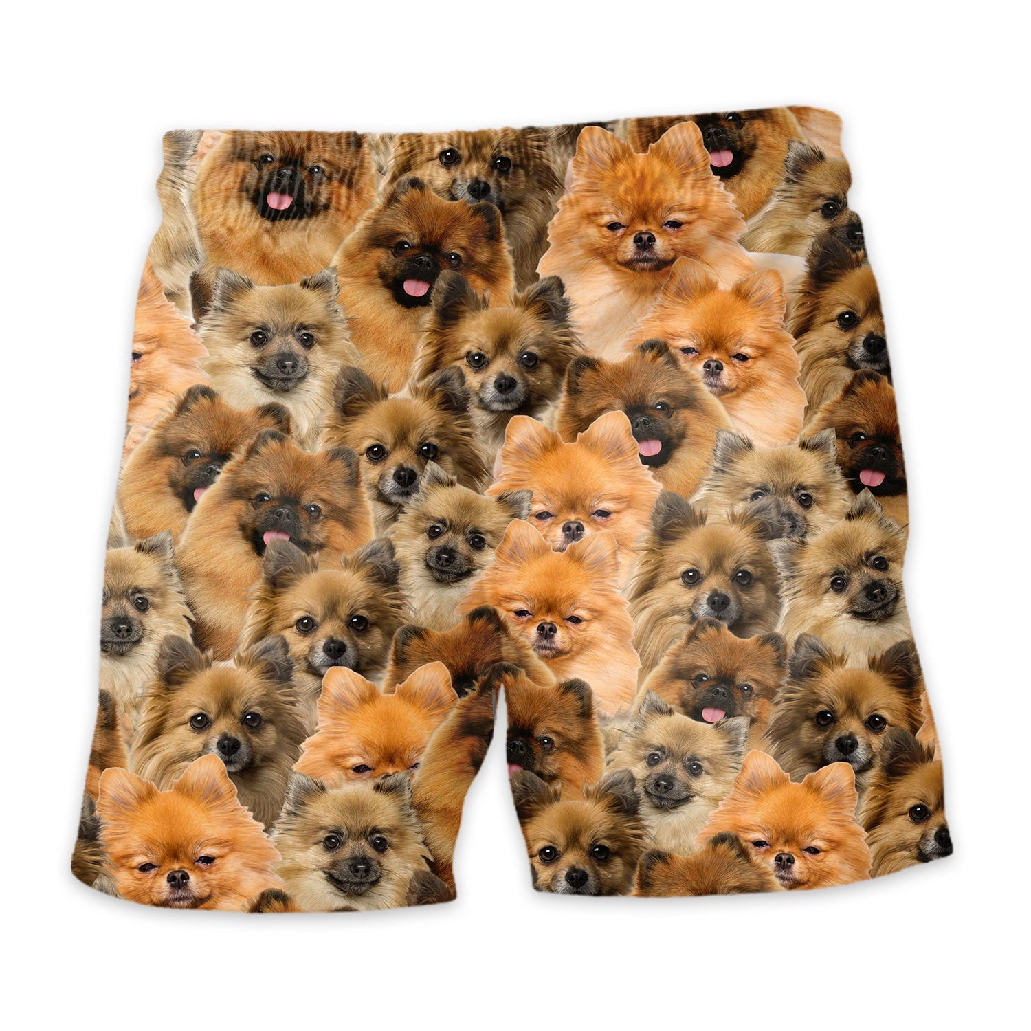 German Spitz Full Face Hawaiian Shirt & Short