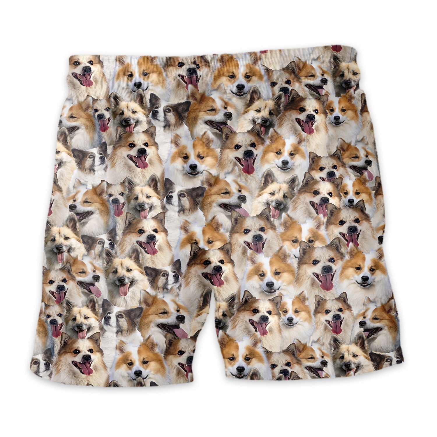 Icelandic Sheepdog Full Face Hawaiian Shirt & Short