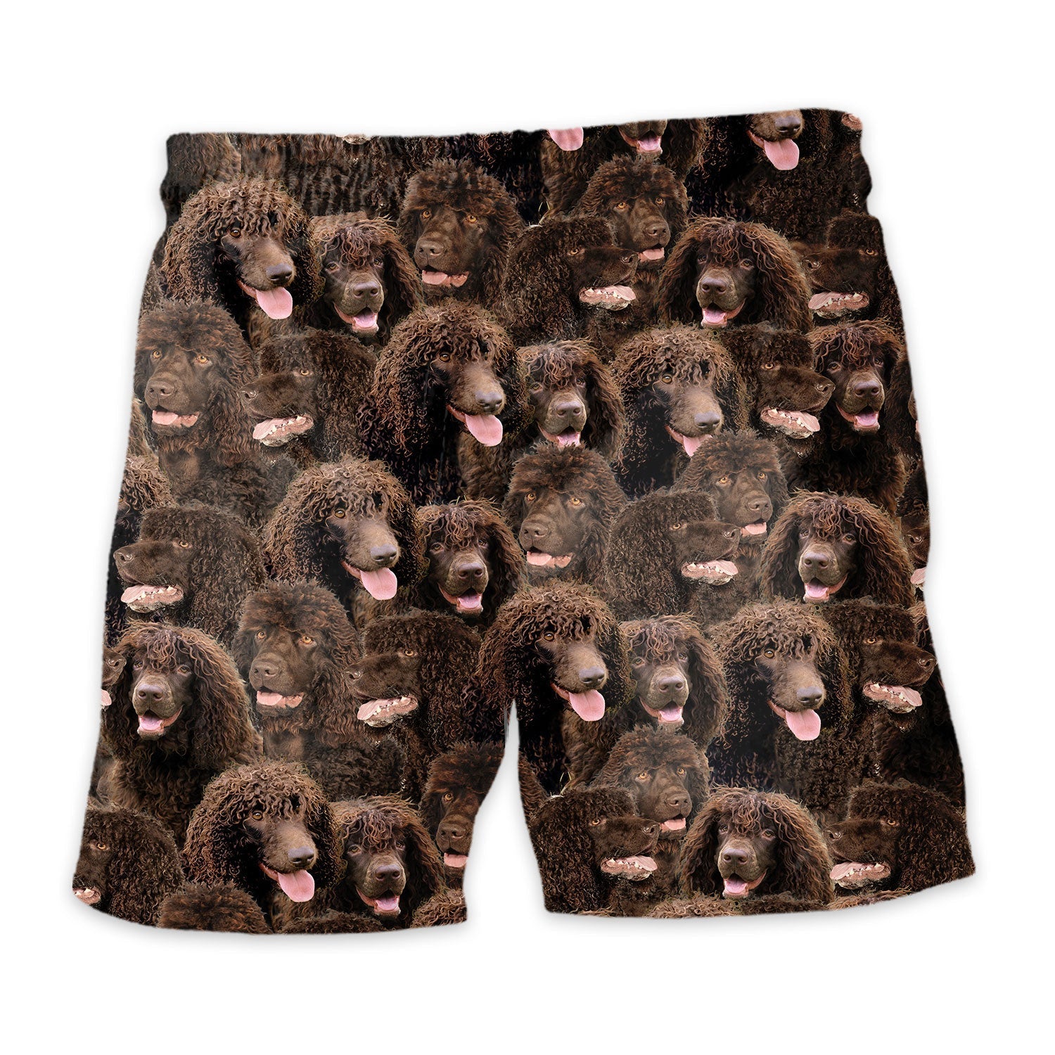 Irish Water Spaniel Full Face Hawaiian Shirt & Short