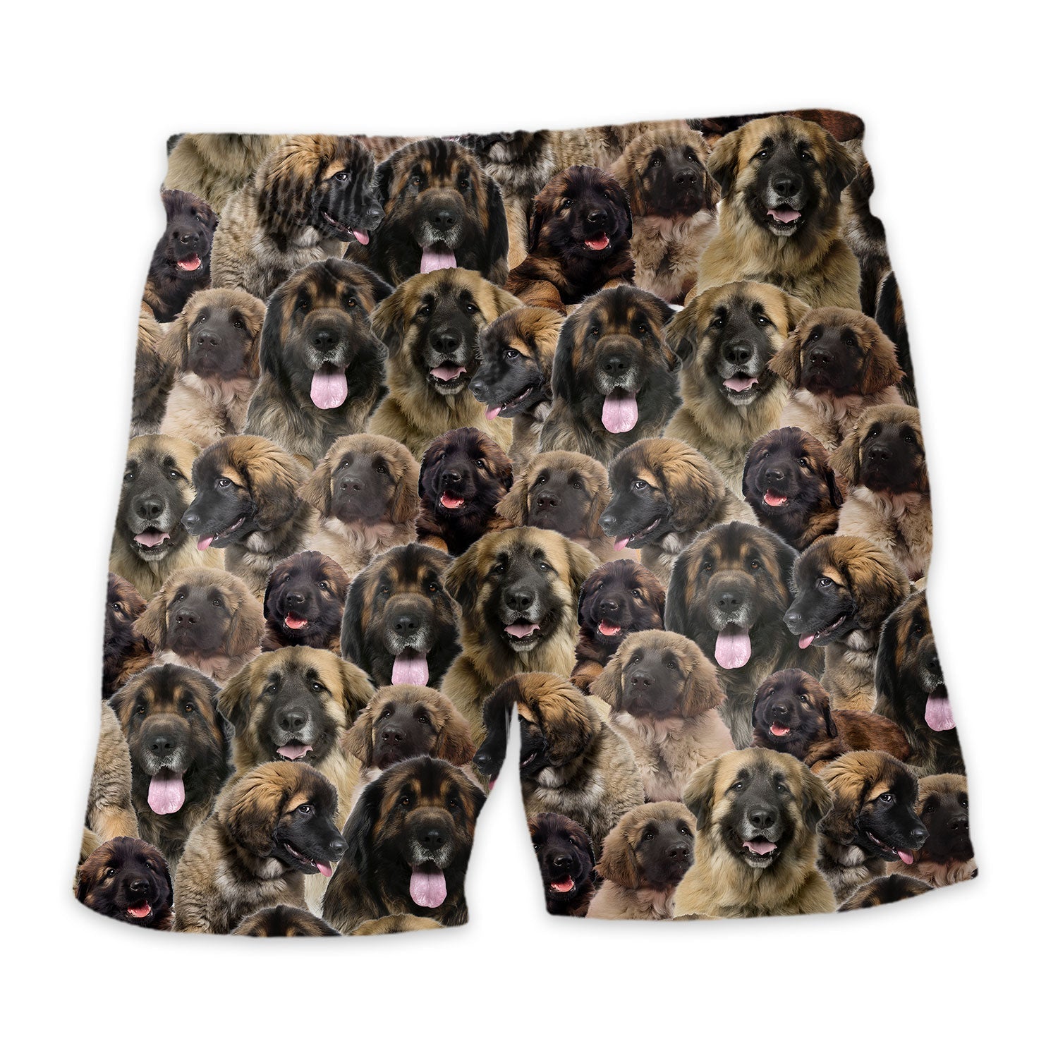 Leonberger Full Face Hawaiian Shirt & Short