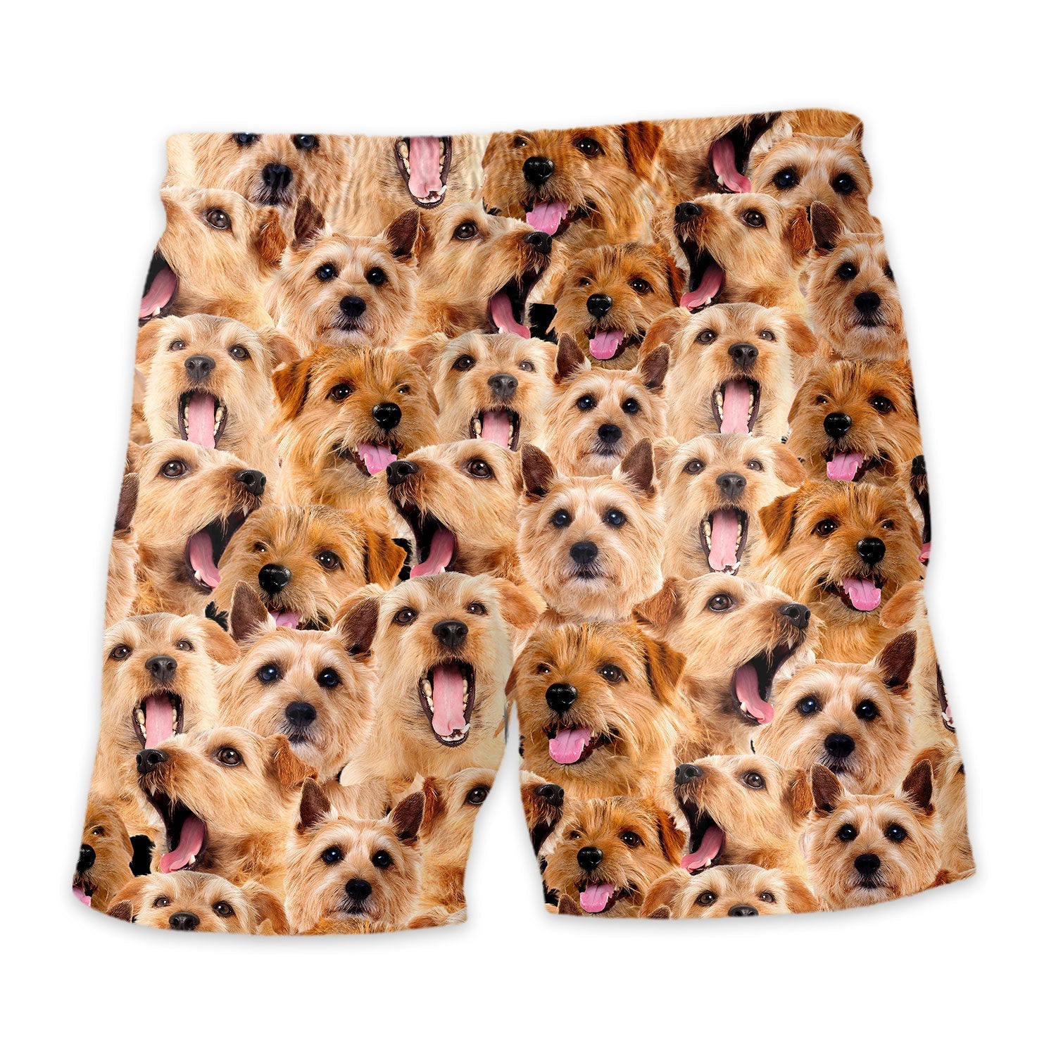 Norfolk Terrier Full Face Hawaiian Shirt & Short
