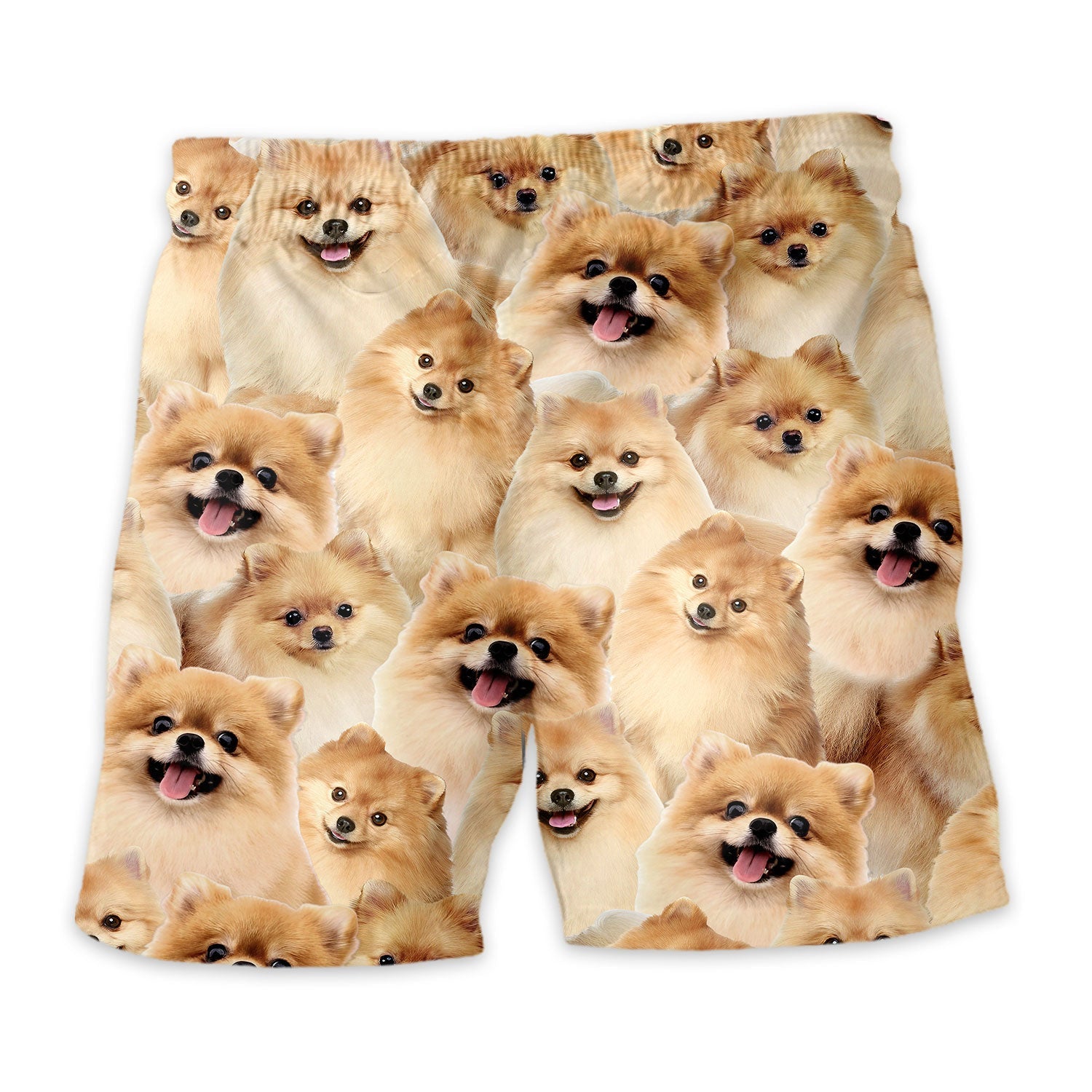 Pomeranian Full Face Hawaiian Shirt & Short