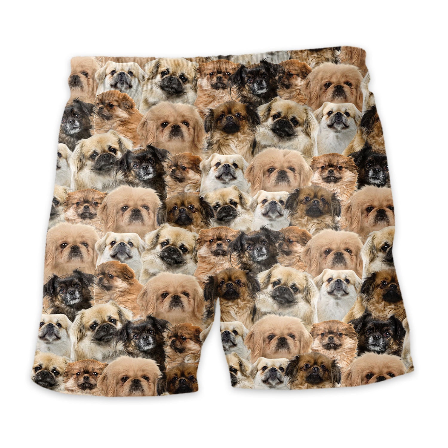 Tibetan Spaniel Full Face Hawaiian Shirt & Short