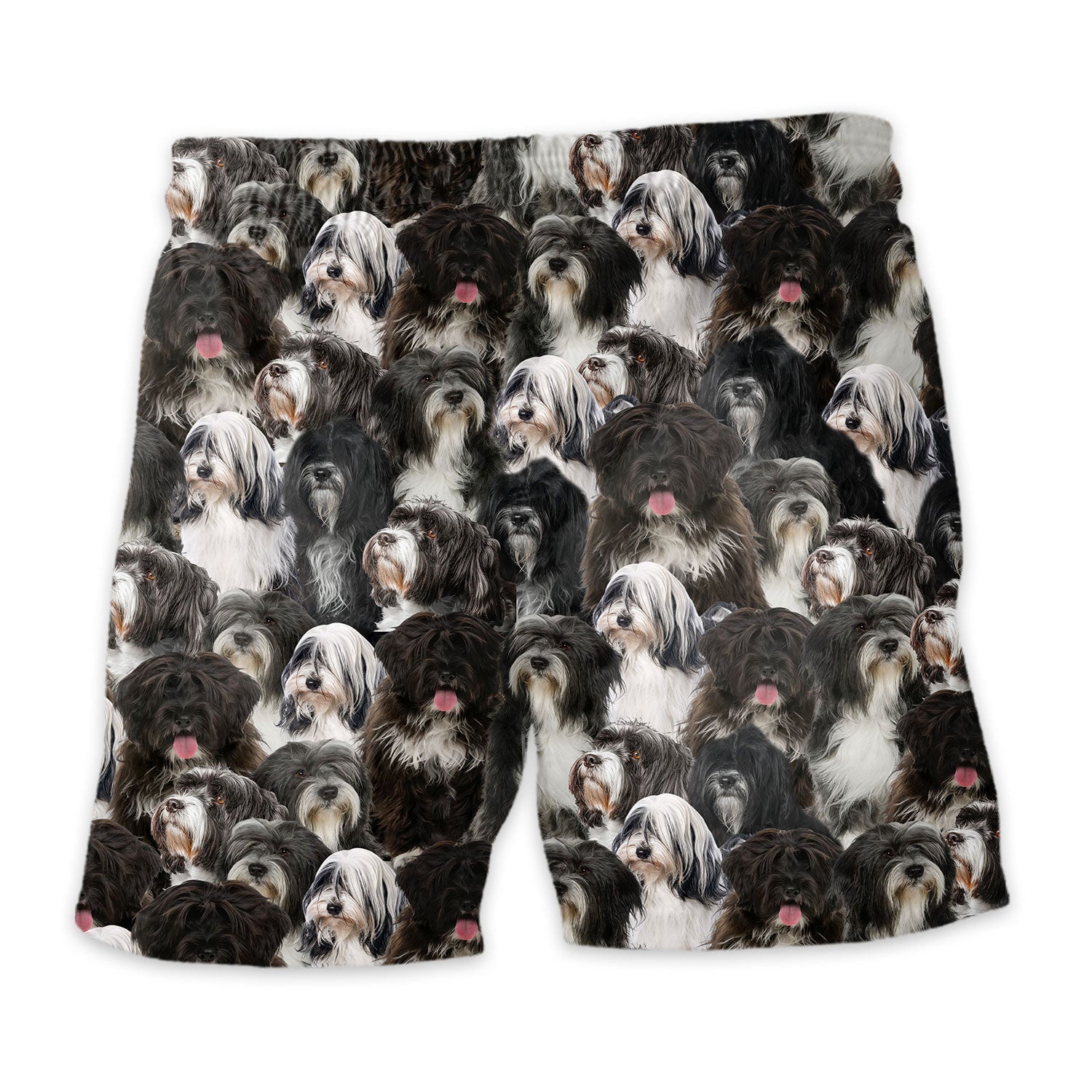 Tibetan Terrier Full Face Hawaiian Shirt & Short