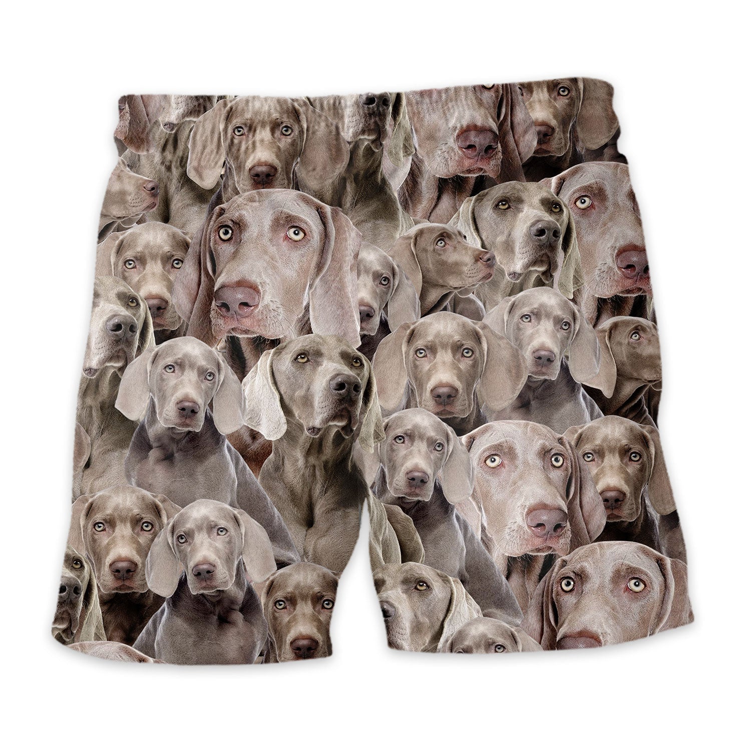 Weimaraner Full Face Hawaiian Shirt & Short