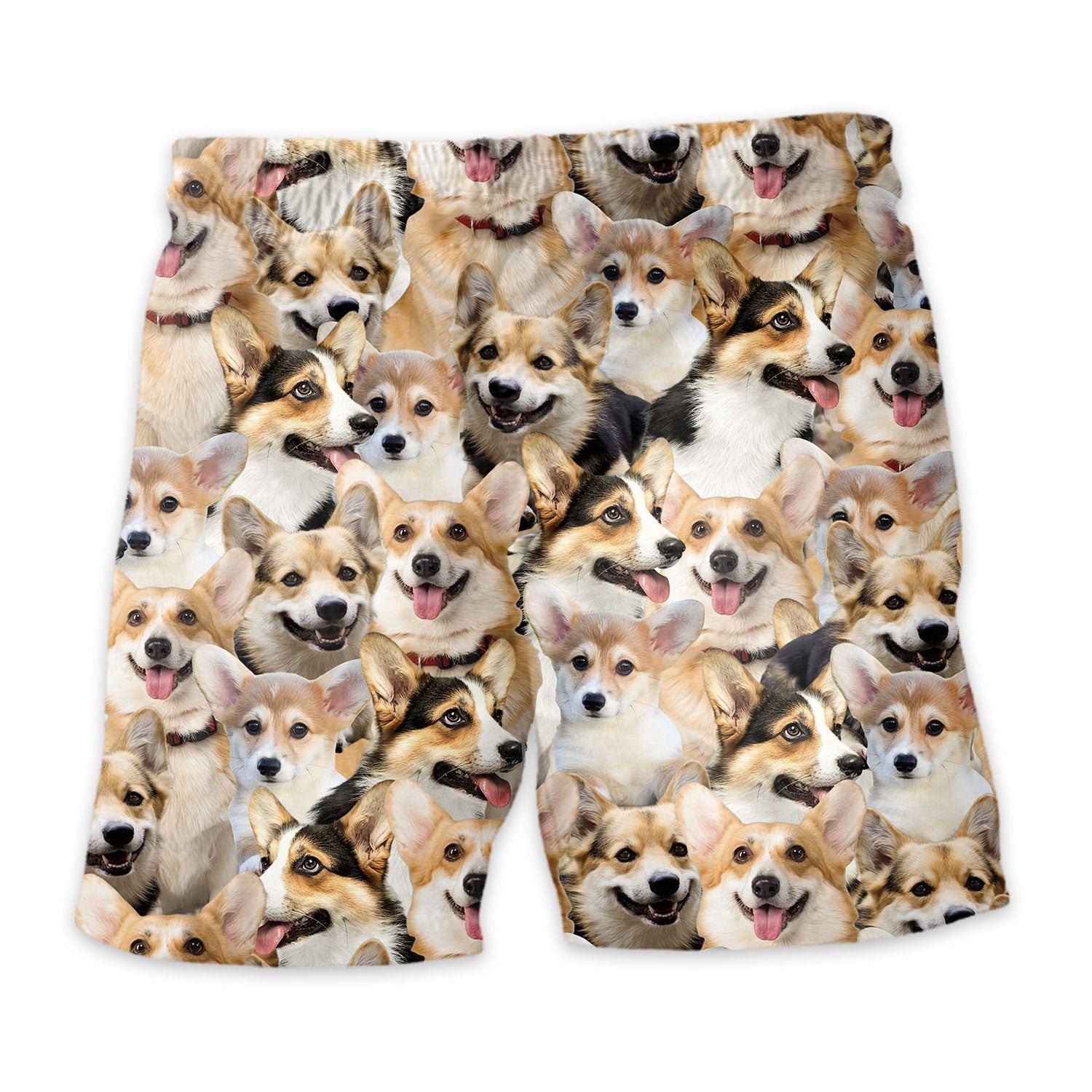 Welsh Corgi Full Face Hawaiian Shirt & Short
