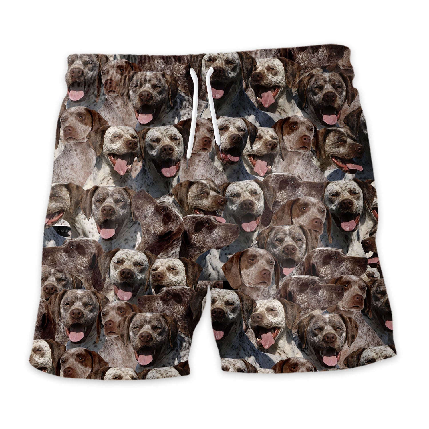 Braque Du Bourbonnais Full Face Hawaiian Shirt & Short