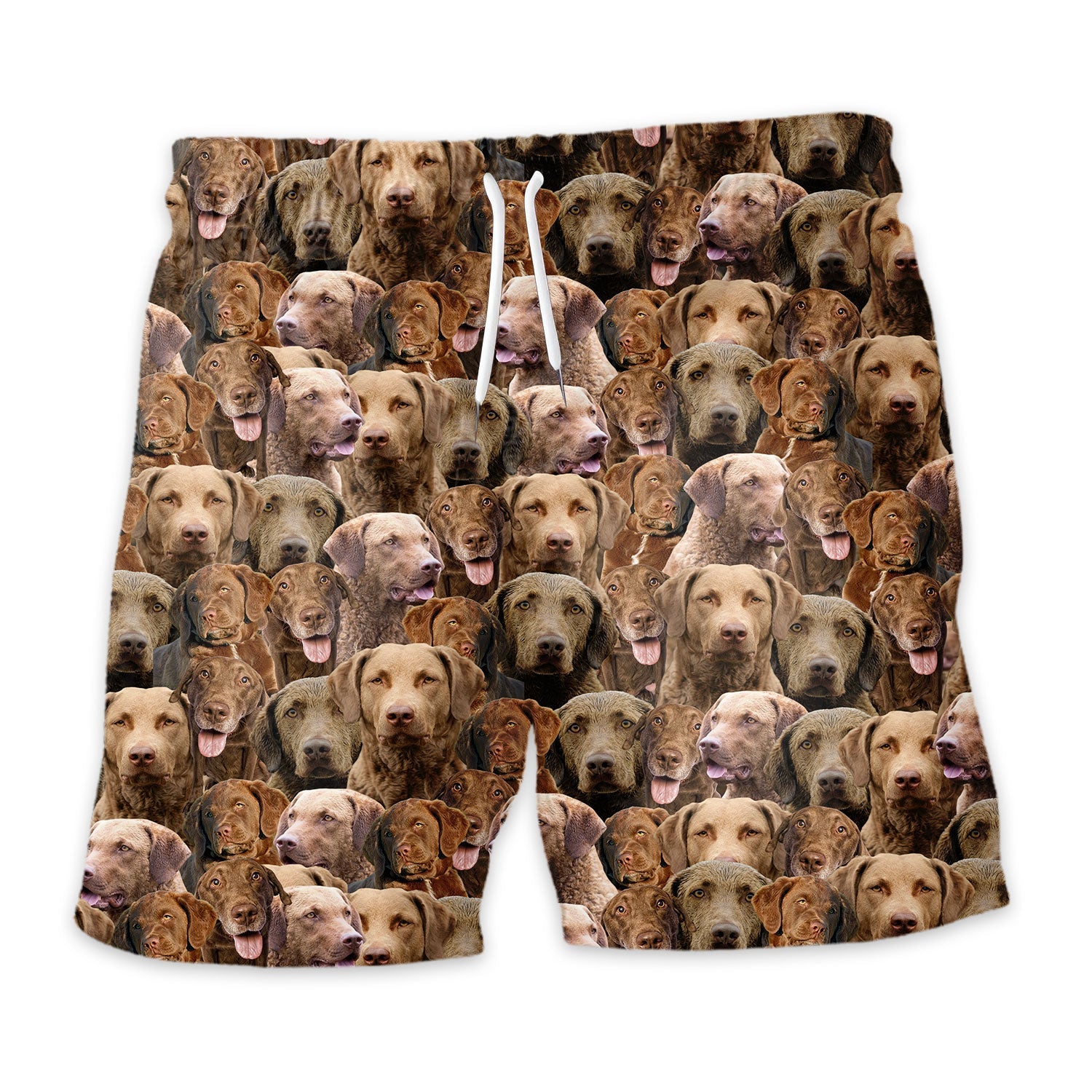 Chesapeake Bay Retriever Dog Full Face Hawaiian Shirt & Short