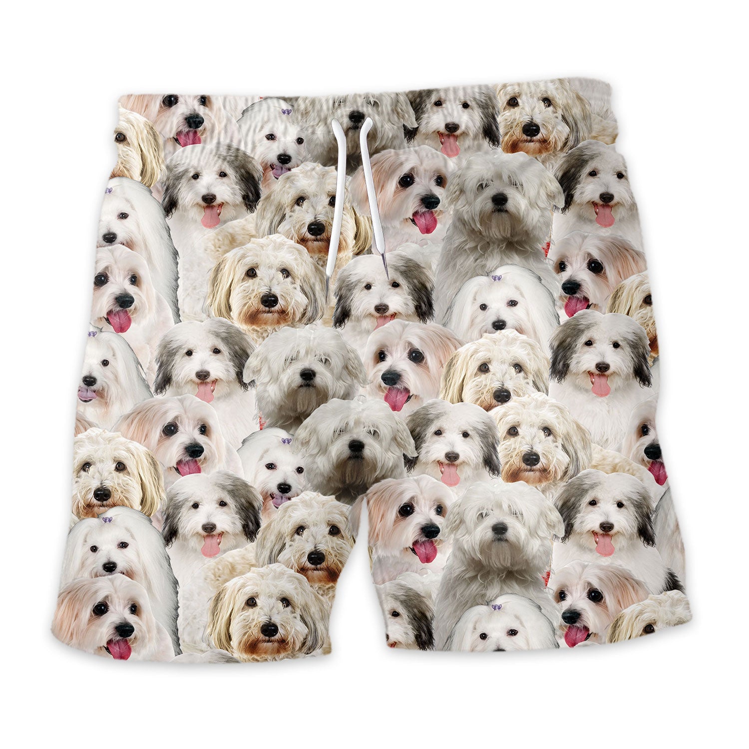 Coton De Tulear Full Face Hawaiian Shirt & Short