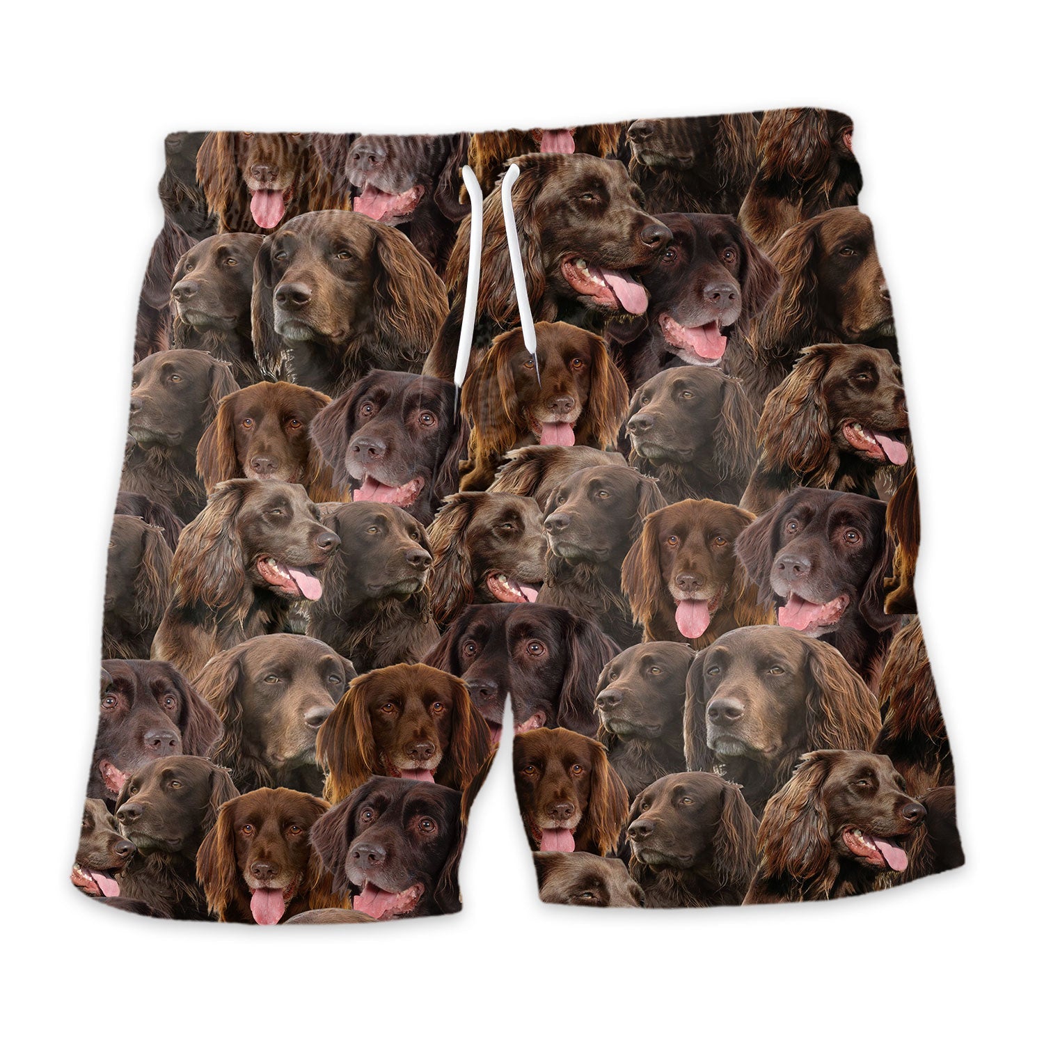 German Longhaired Pointer Full Face Hawaiian Shirt & Short