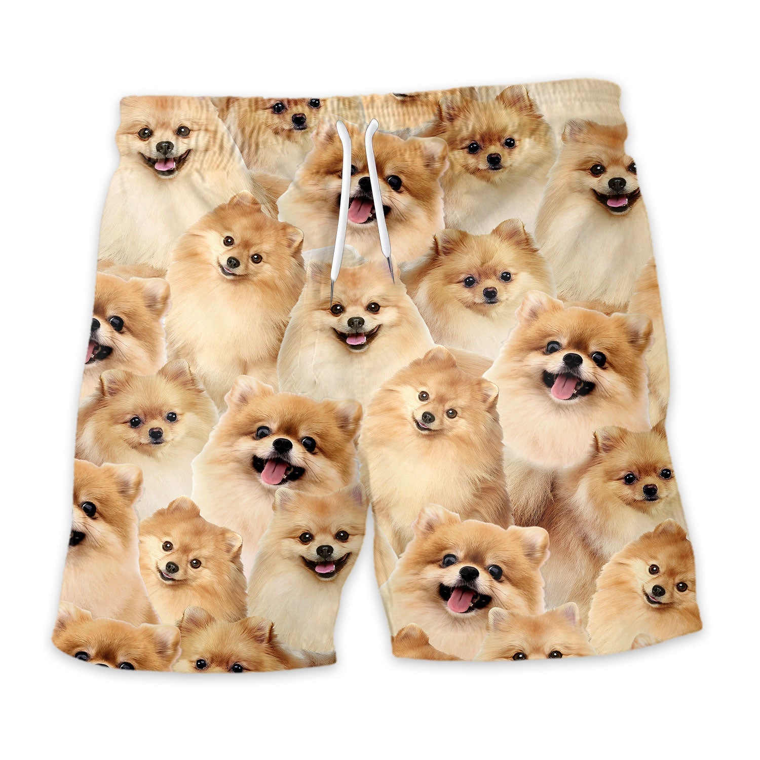 Pomeranian Full Face Hawaiian Shirt & Short