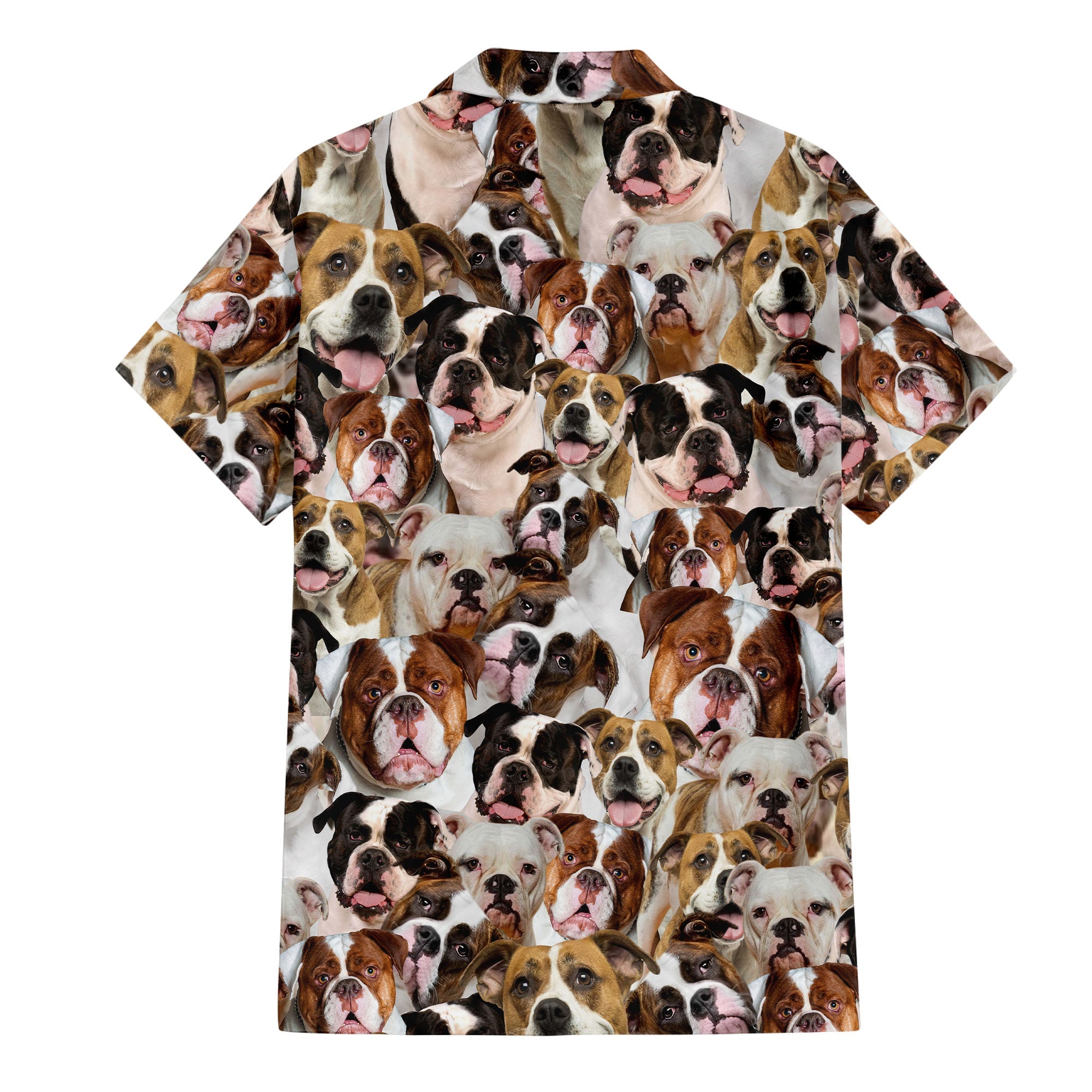 American Bulldog 1 Full Face Hawaiian Shirt & Short