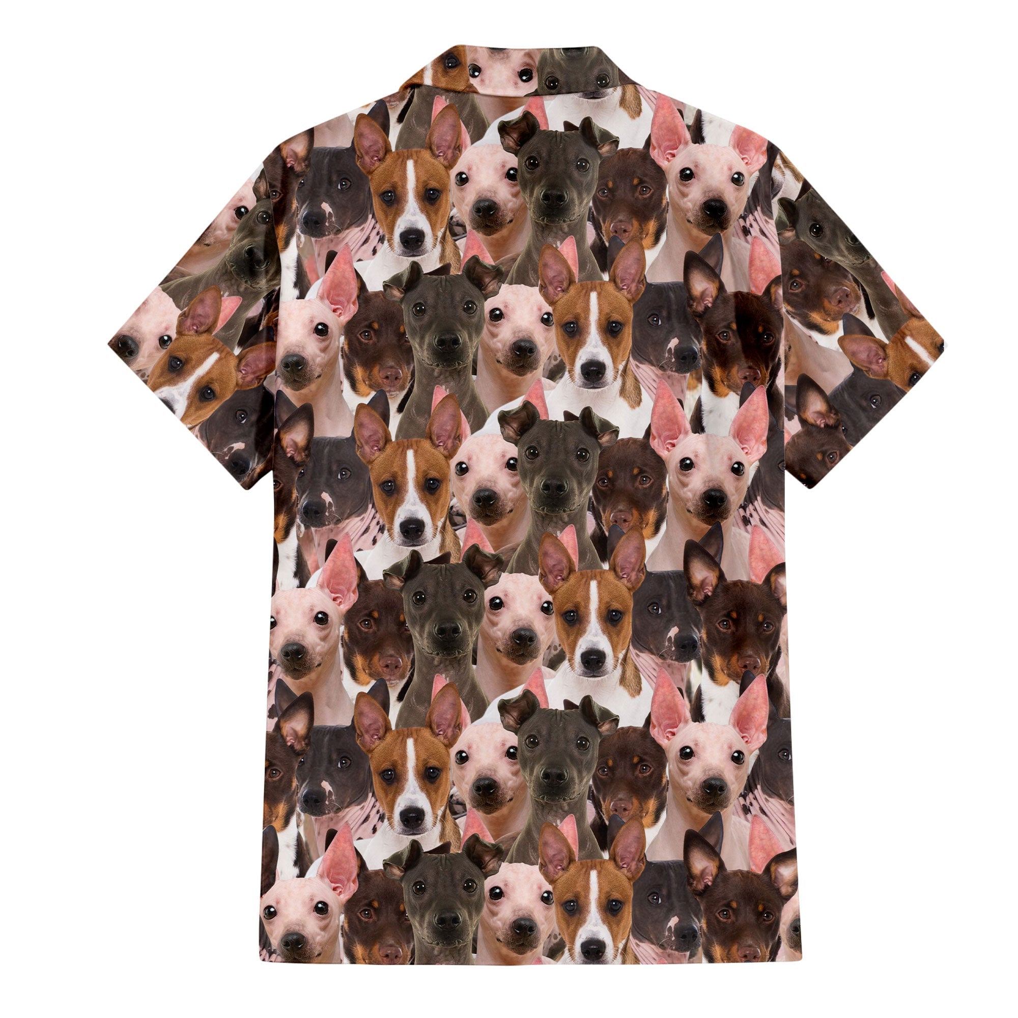 American Hairless Terrier Full Face Hawaiian Shirt & Short