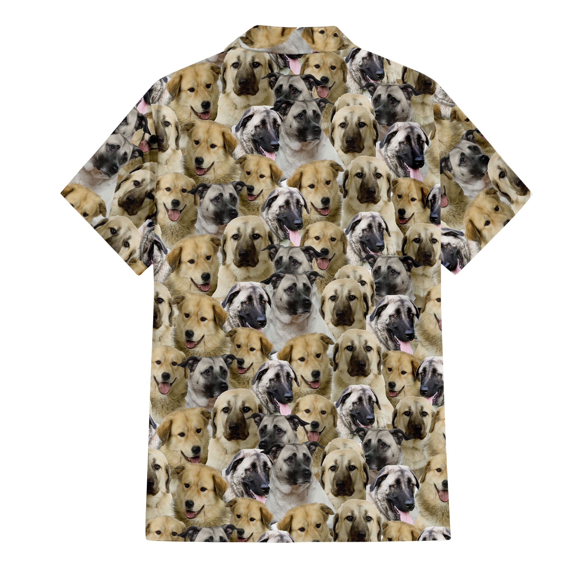 Anatolian Shepherd Full Face Hawaiian Shirt & Short