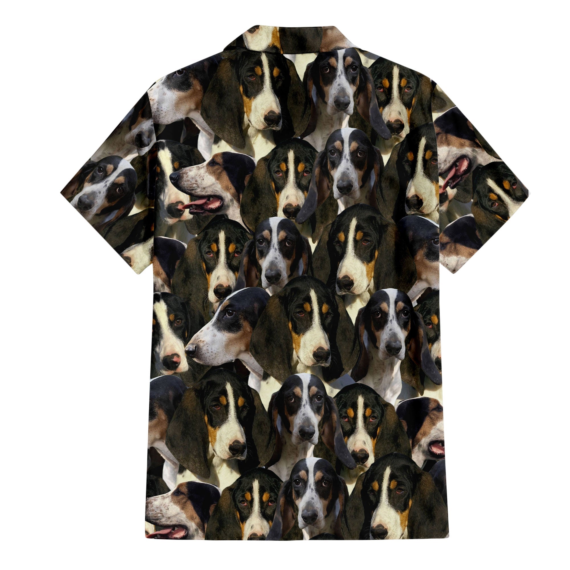 Ariegeois Full Face Hawaiian Shirt & Short