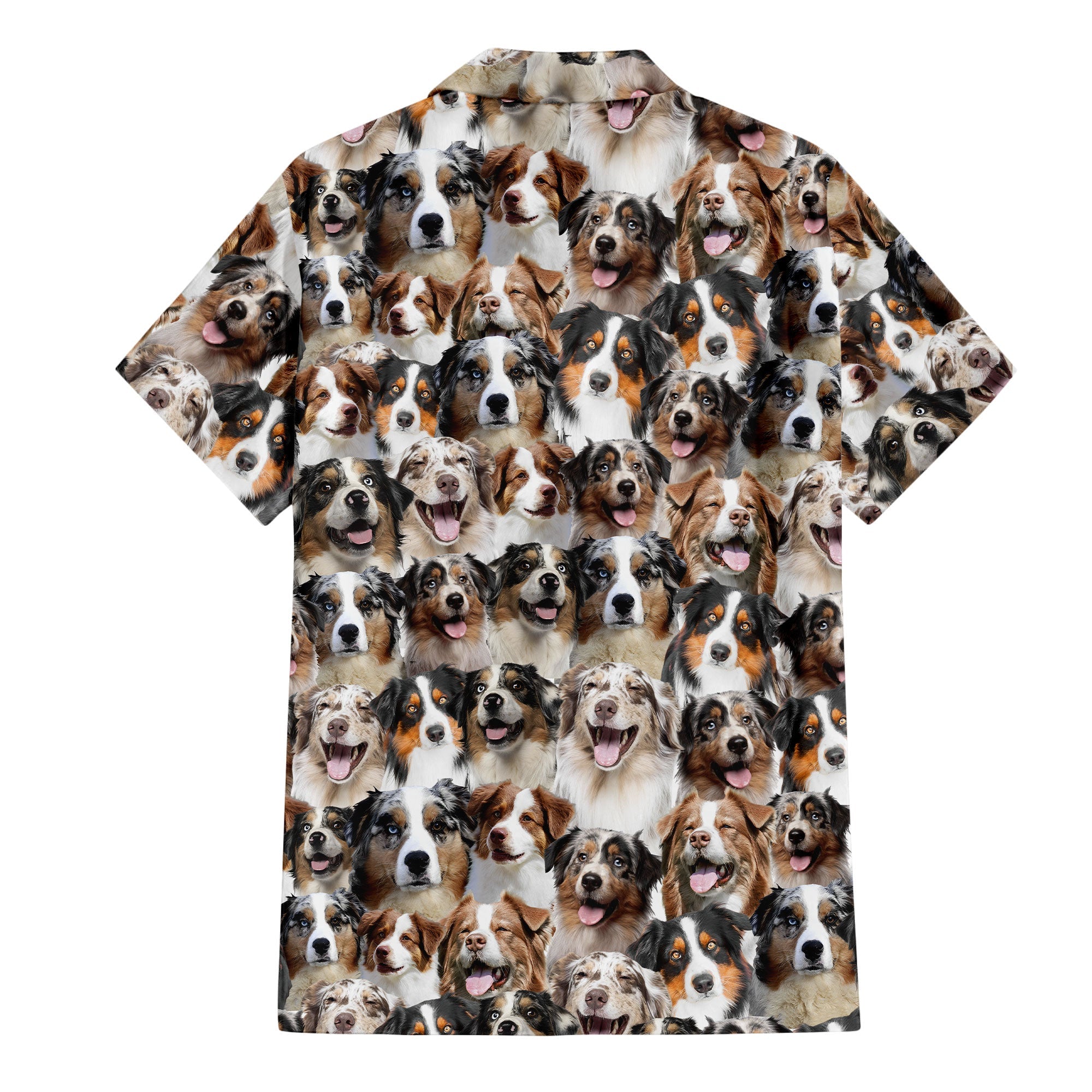 Australian Shepherd Full Face Hawaiian Shirt & Short