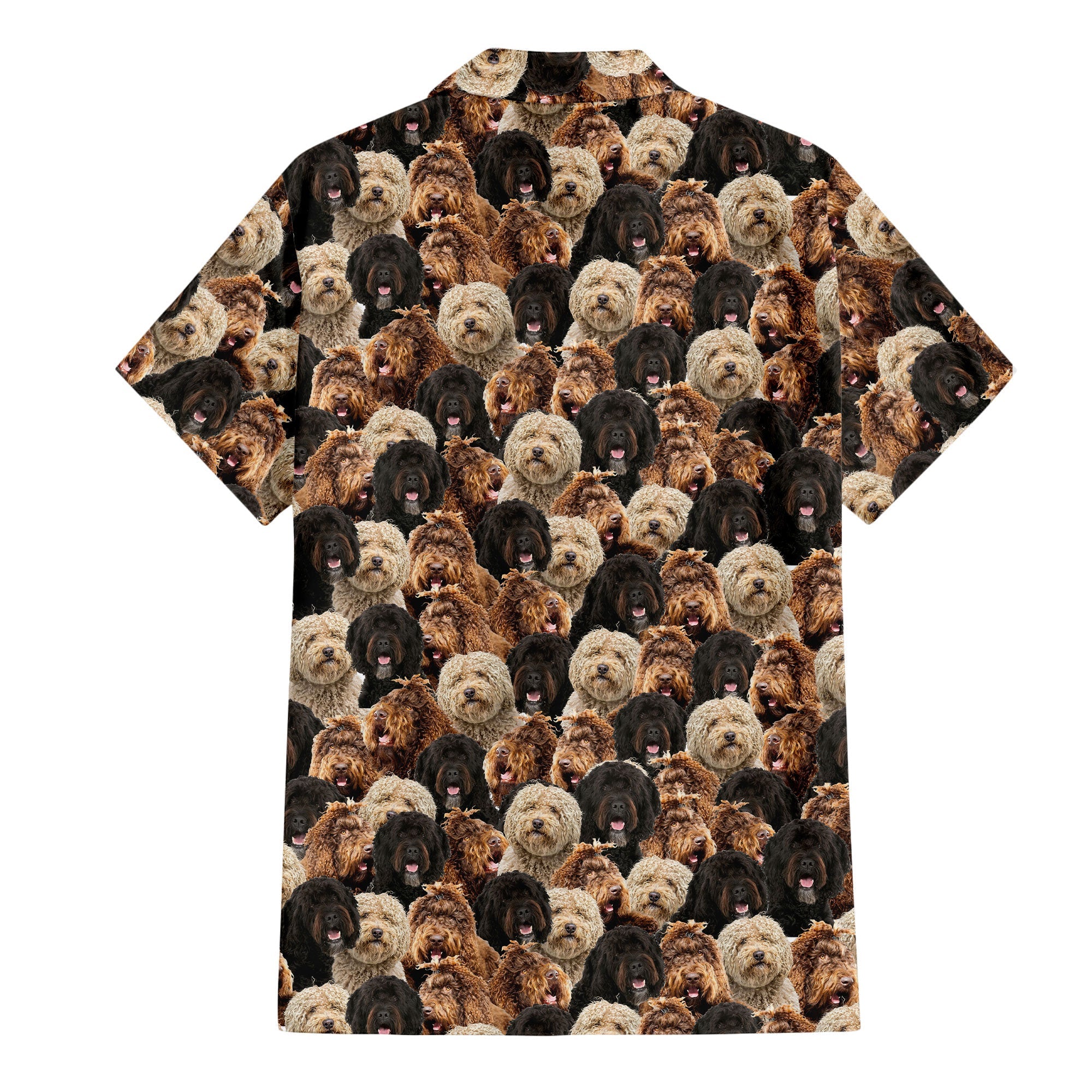 Barbet-2 Full Face Hawaiian Shirt & Short