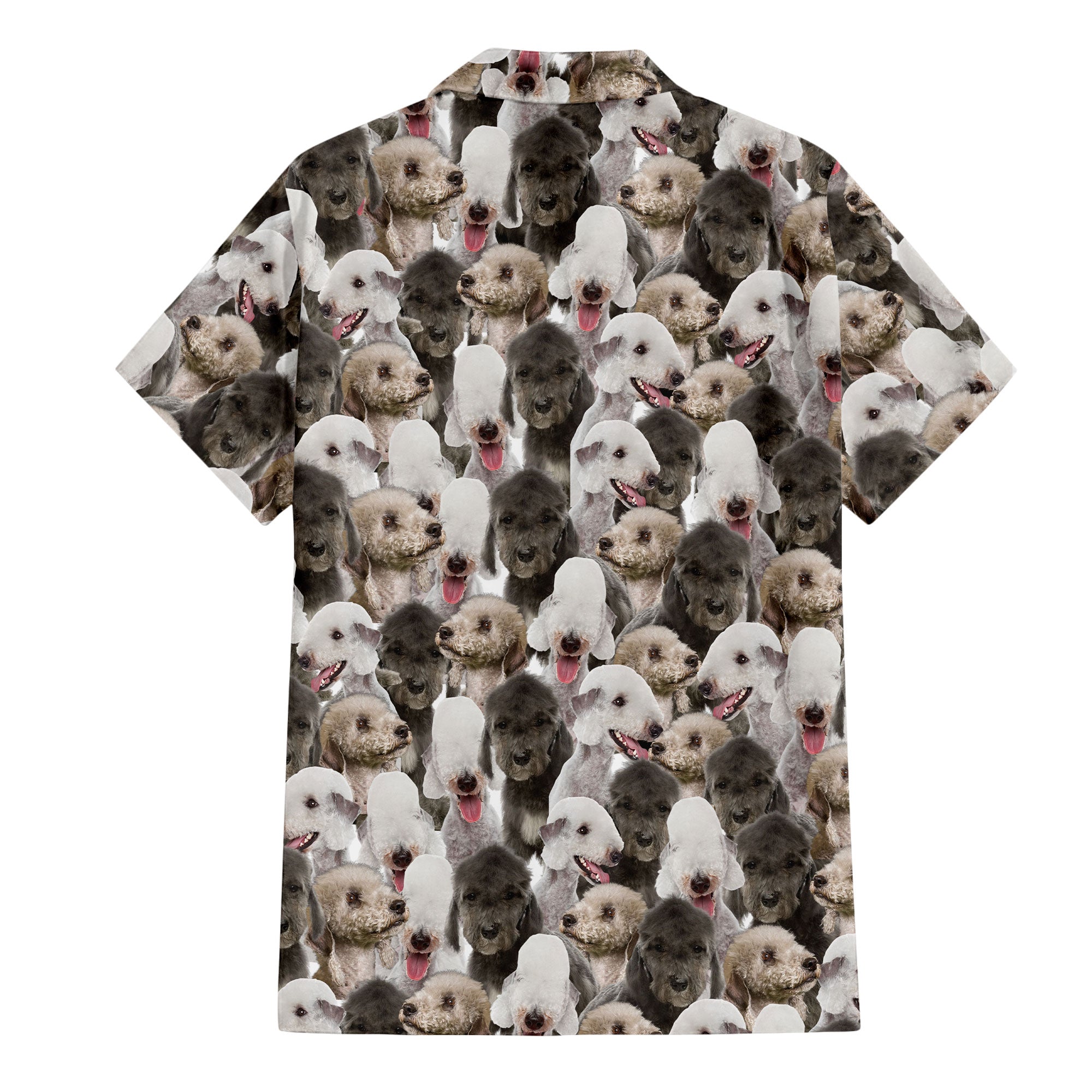 Bedlington Terrier Full Face Hawaiian Shirt & Short
