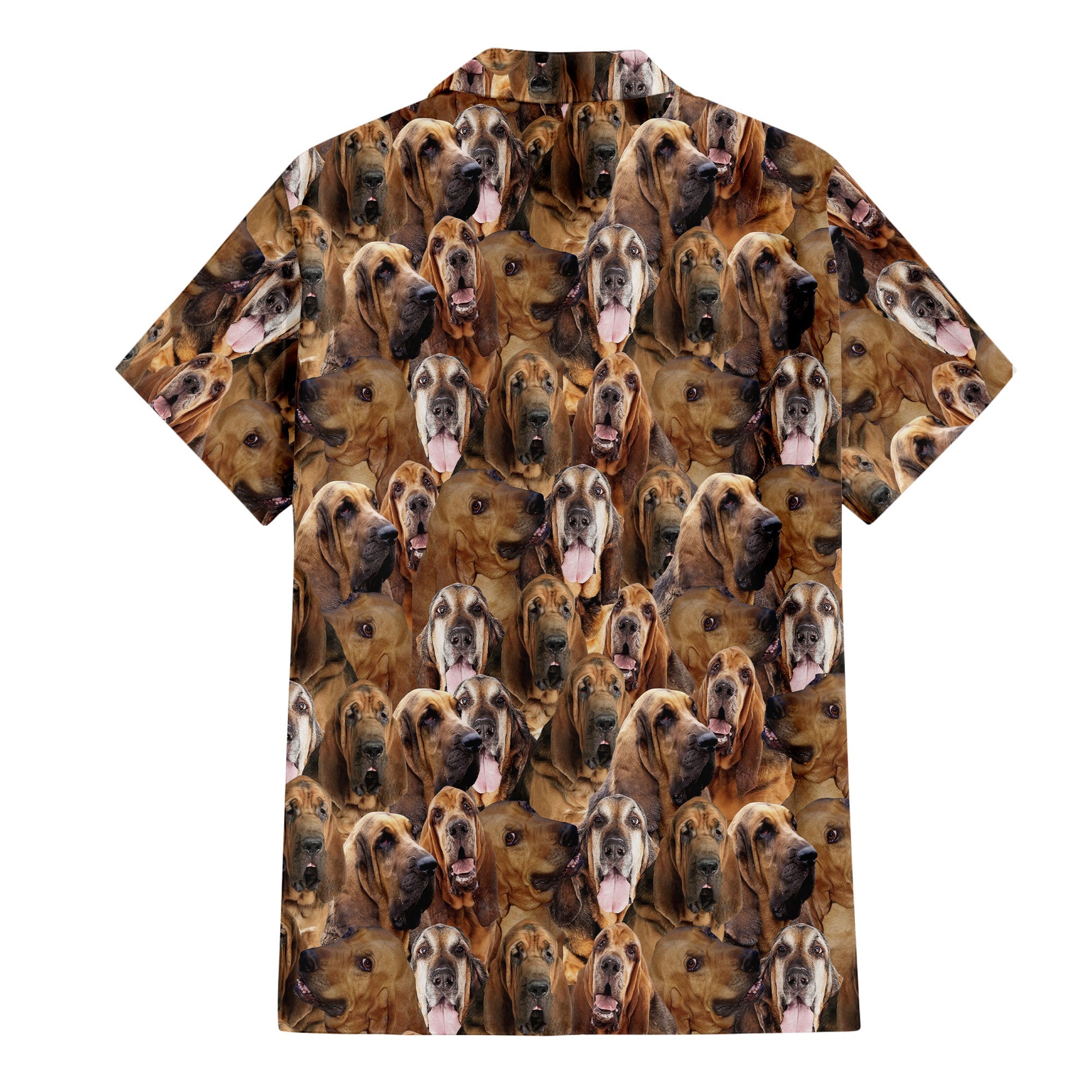 Bloodhound Full Face Hawaiian Shirt & Short