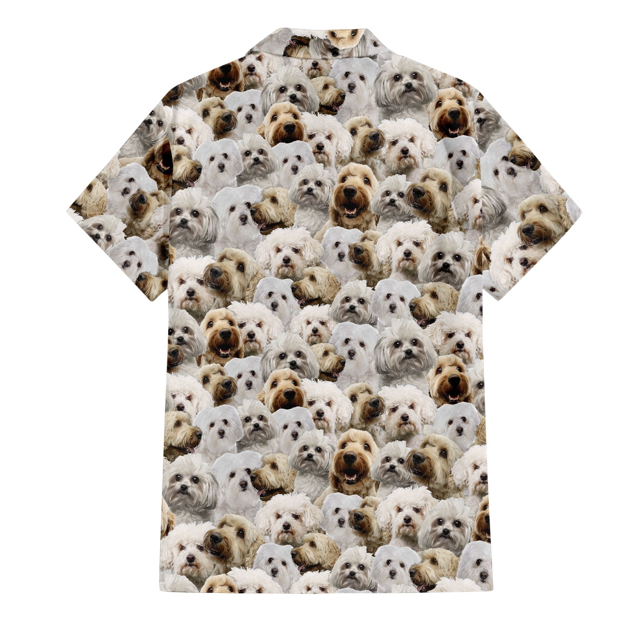 Bolognese Dog Full Face Hawaiian Shirt & Short