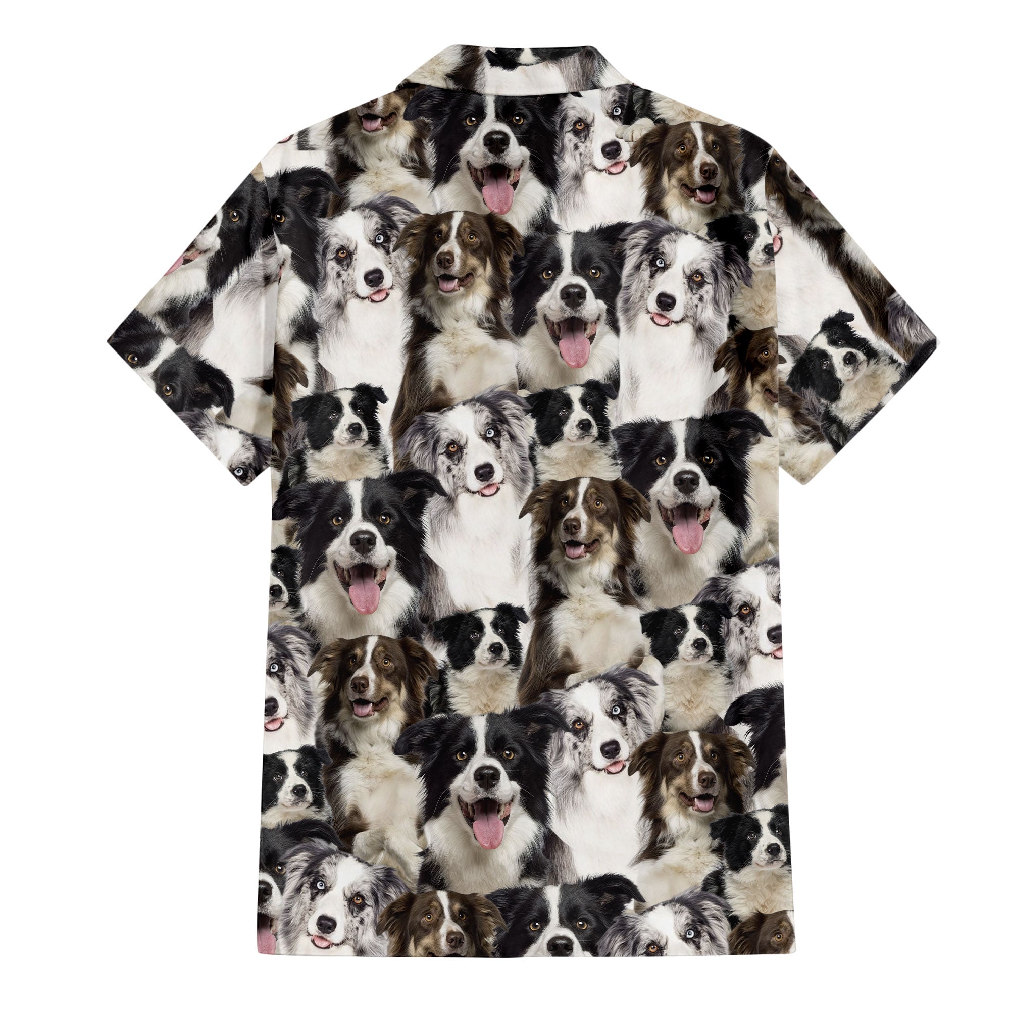 Border Collie Full Face Hawaiian Shirt & Short