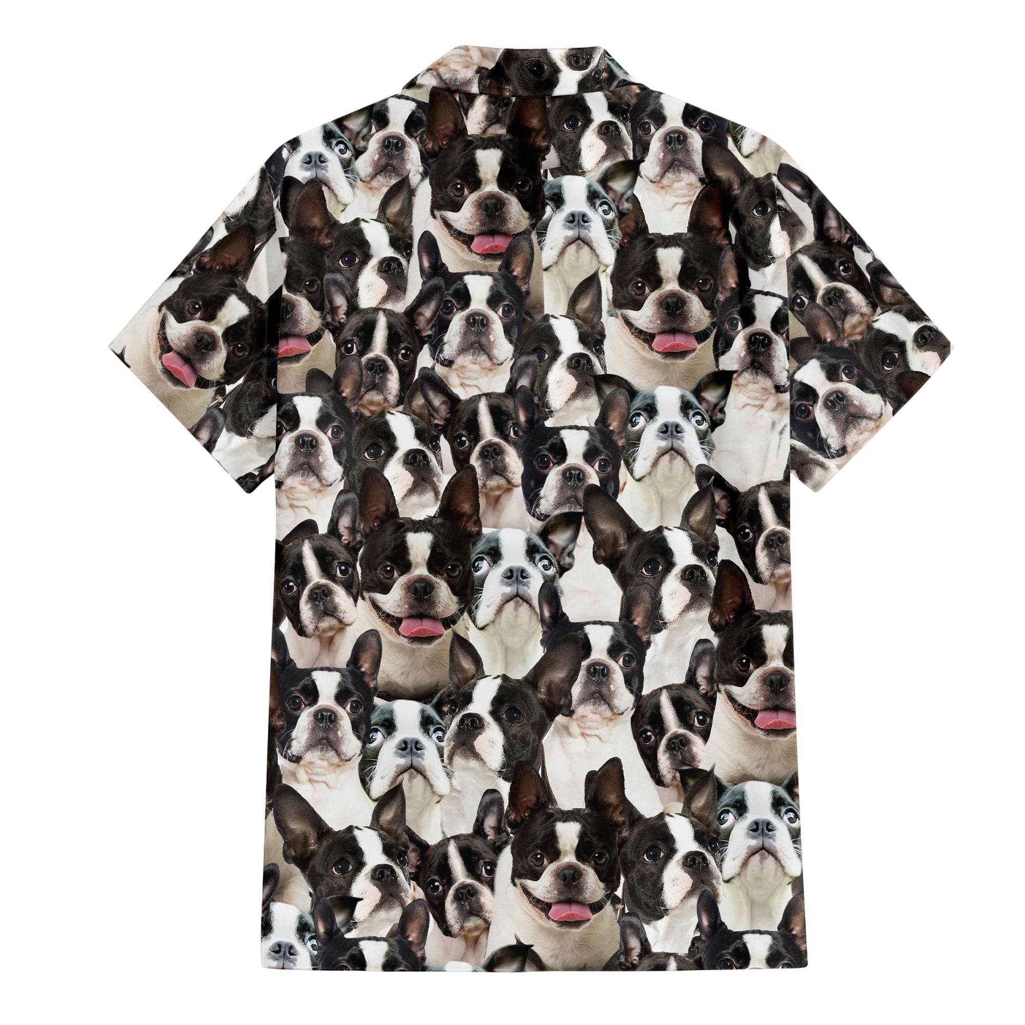 Boston Terrier Full Face Hawaiian Shirt & Short