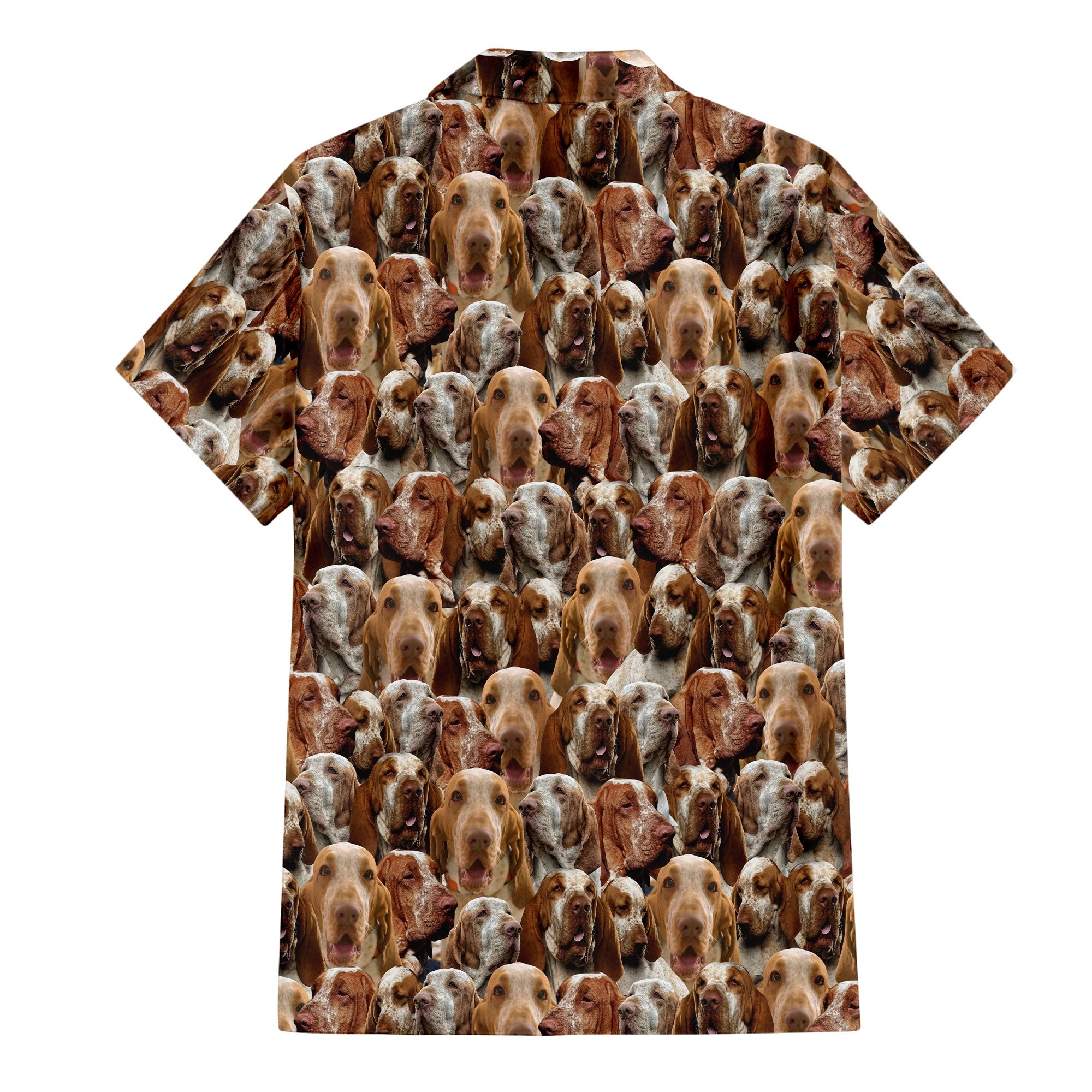 Bracco Italiano Full Face Hawaiian Shirt & Short