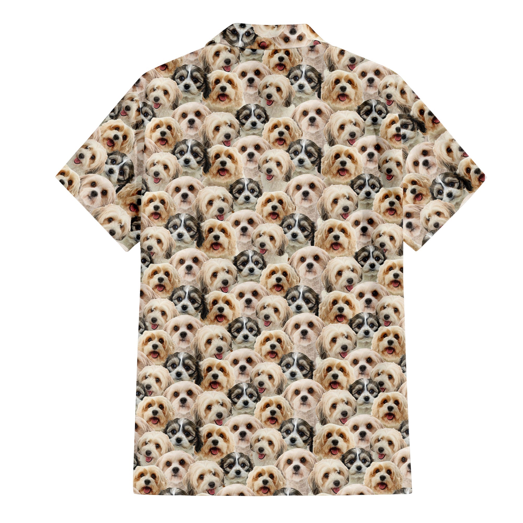 Cavachon Dog Full Face Hawaiian Shirt & Short