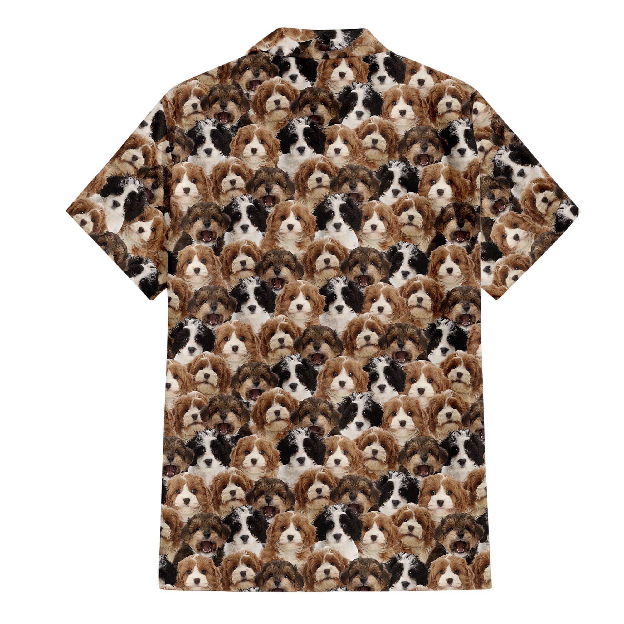 Cavapoo Full Face Hawaiian Shirt & Short