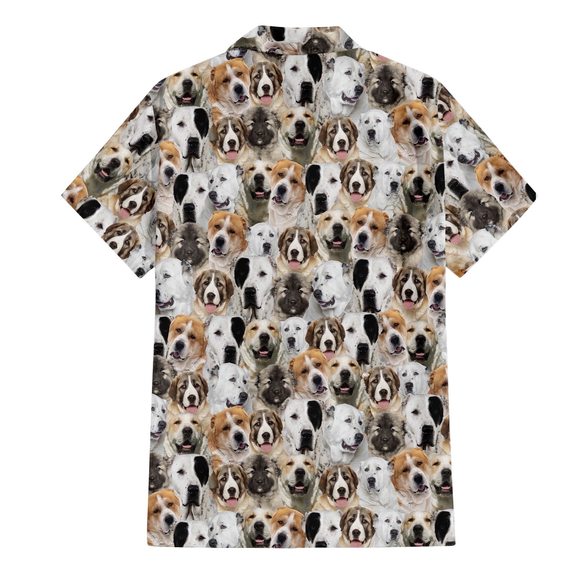 Central Asian Shepherd Dog Full Face Hawaiian Shirt & Short