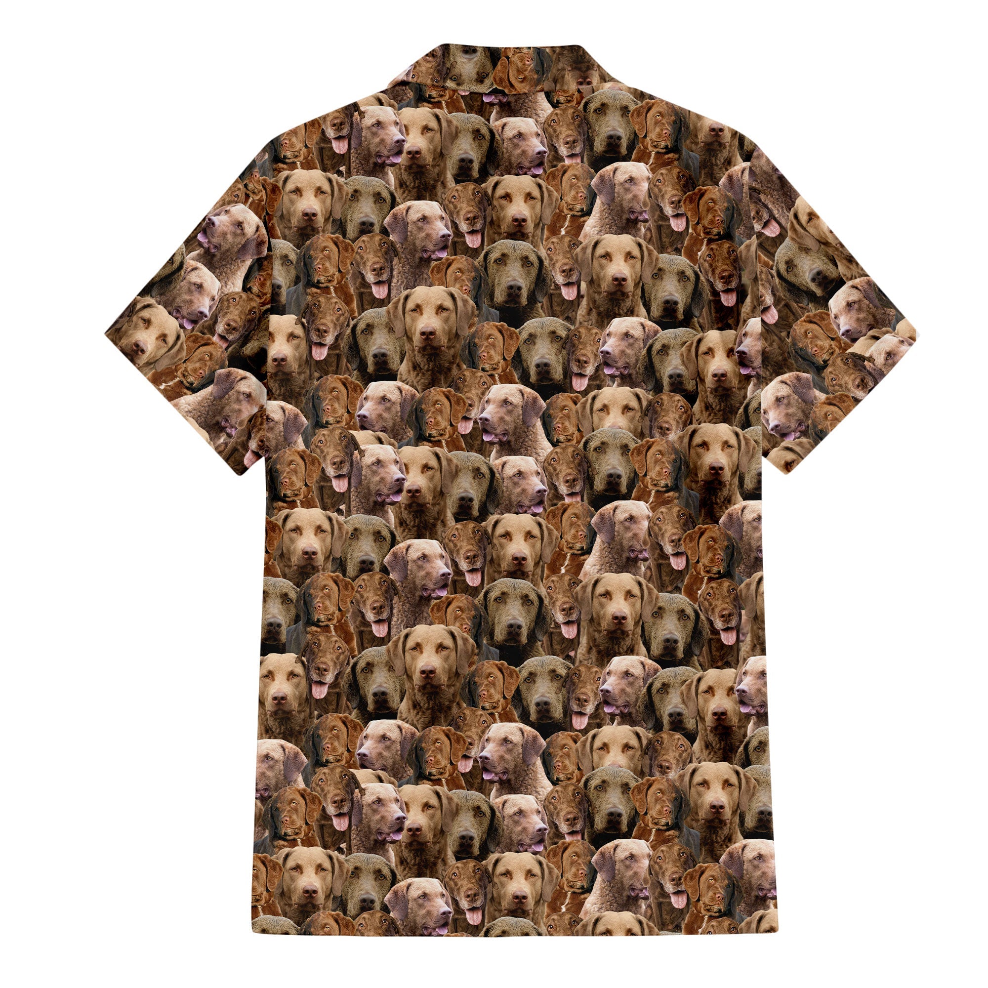 Chesapeake Bay Retriever Dog Full Face Hawaiian Shirt & Short